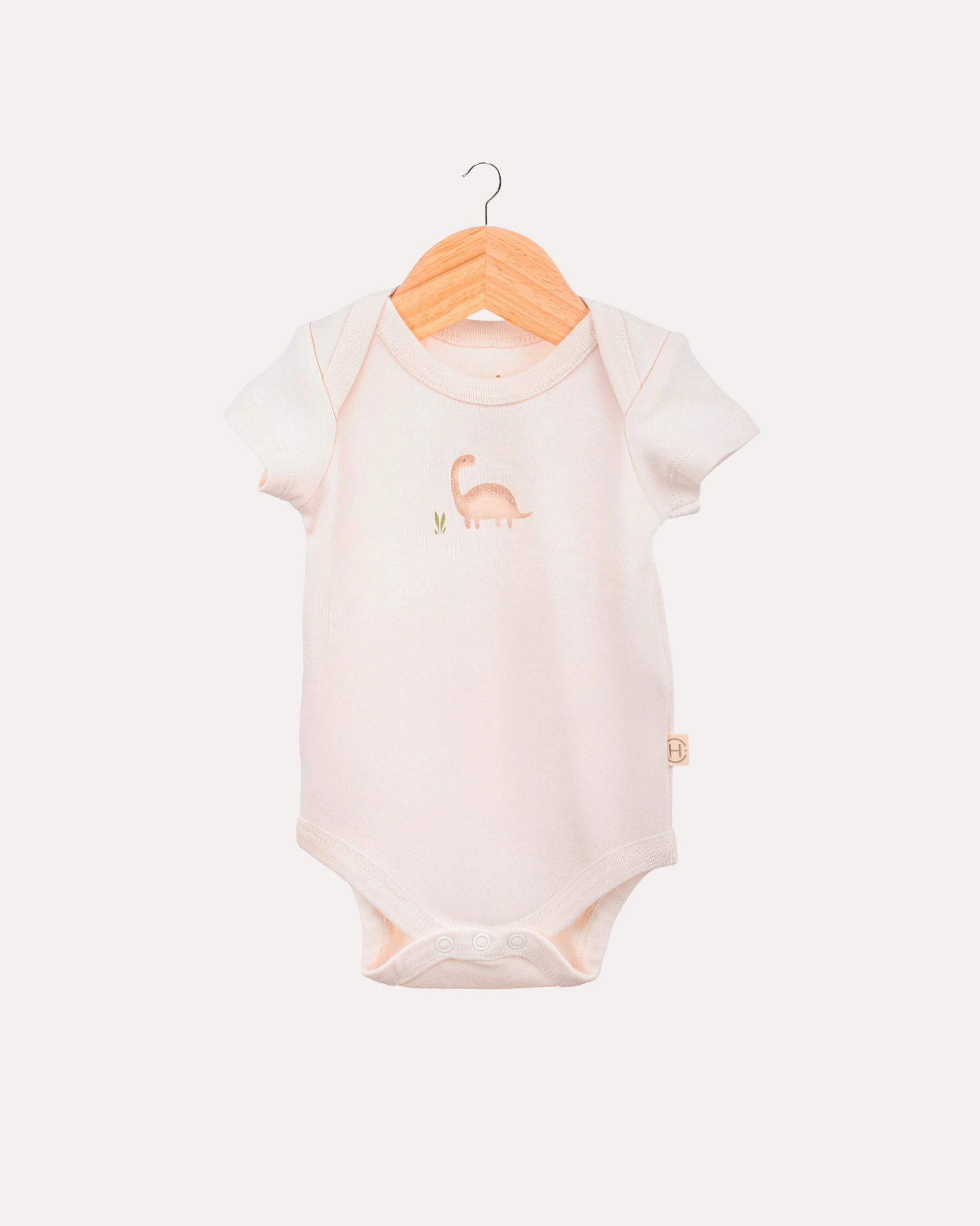 %100 Organik Pamuk GOTS Sertifikalı 4’lü Keseli Dinozor Yenidoğan Hastane Çıkışı Set - Pudra