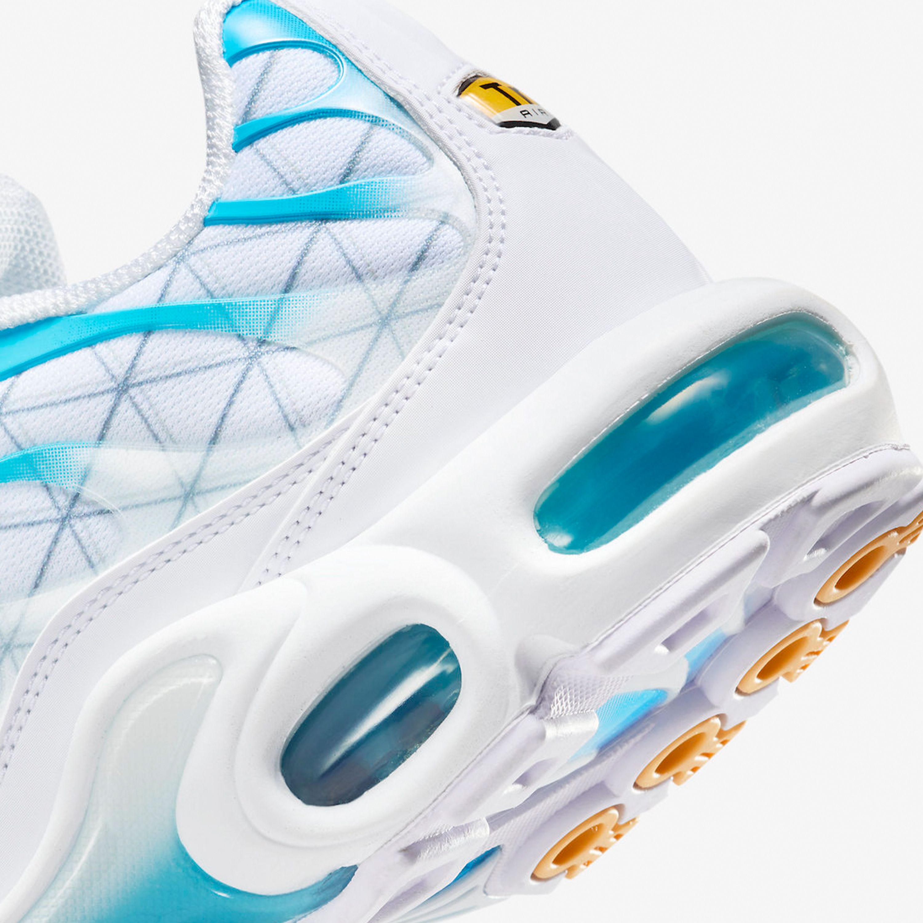 Air Max Plus TN "Marseille"