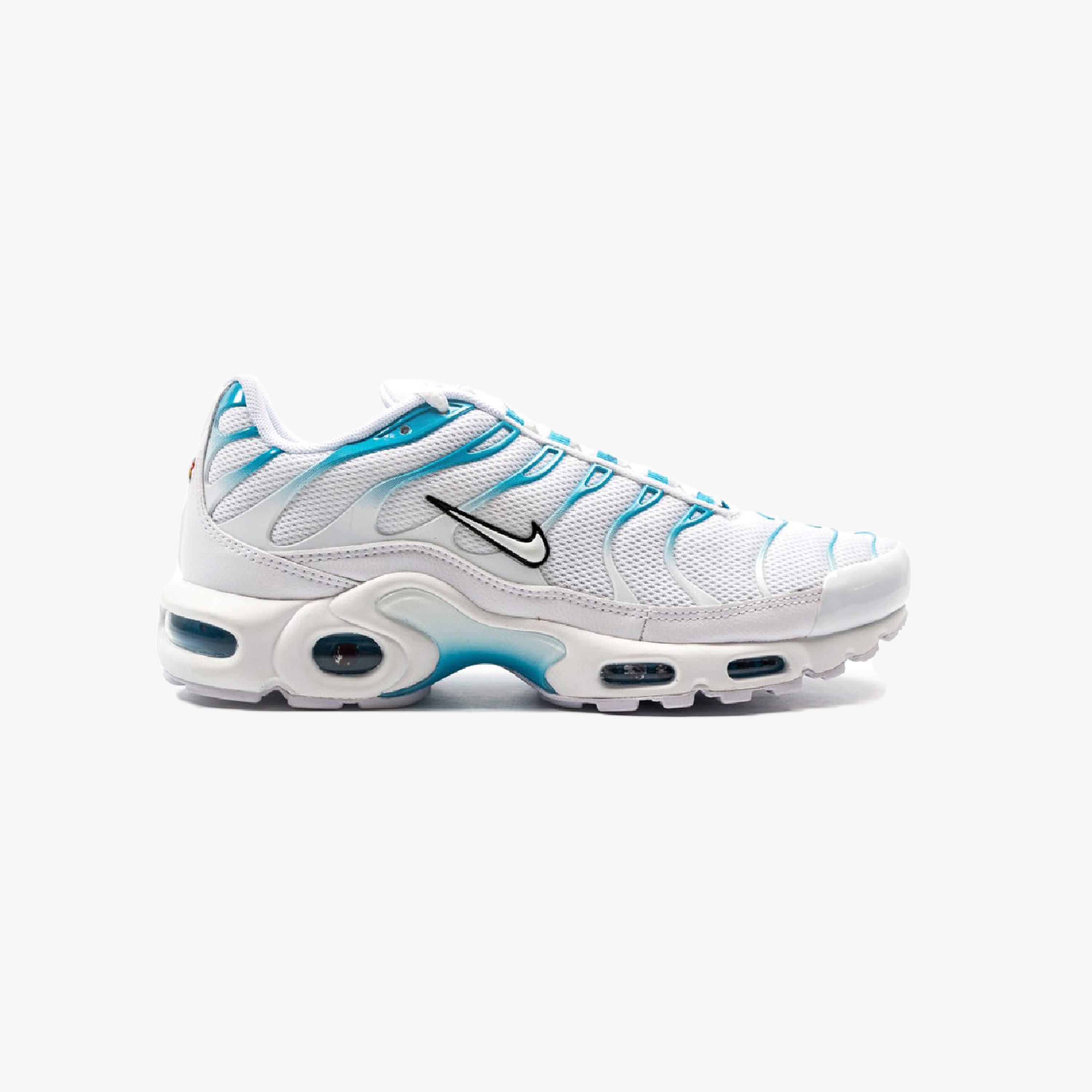 Air Max Plus TN "Blue Fury"