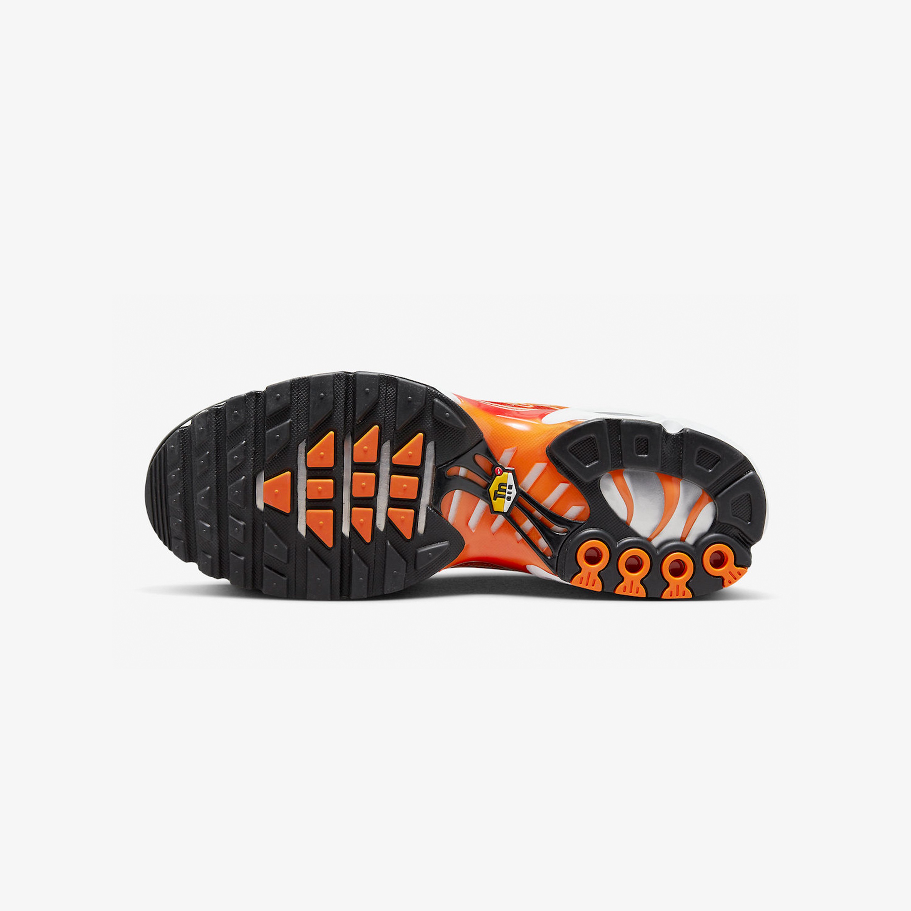 Air Max Plus TN "Light Photography"