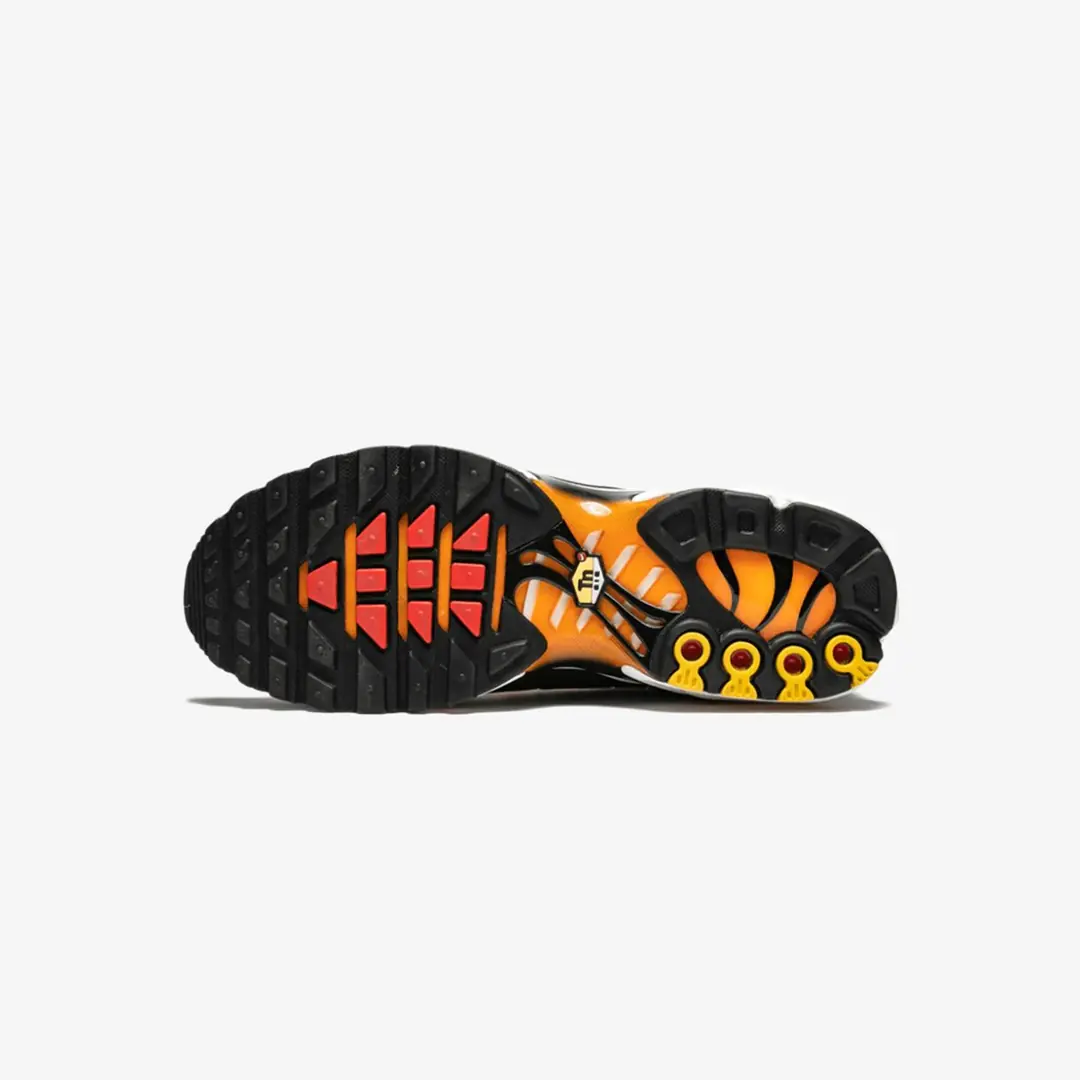 Air Max Plus TN 