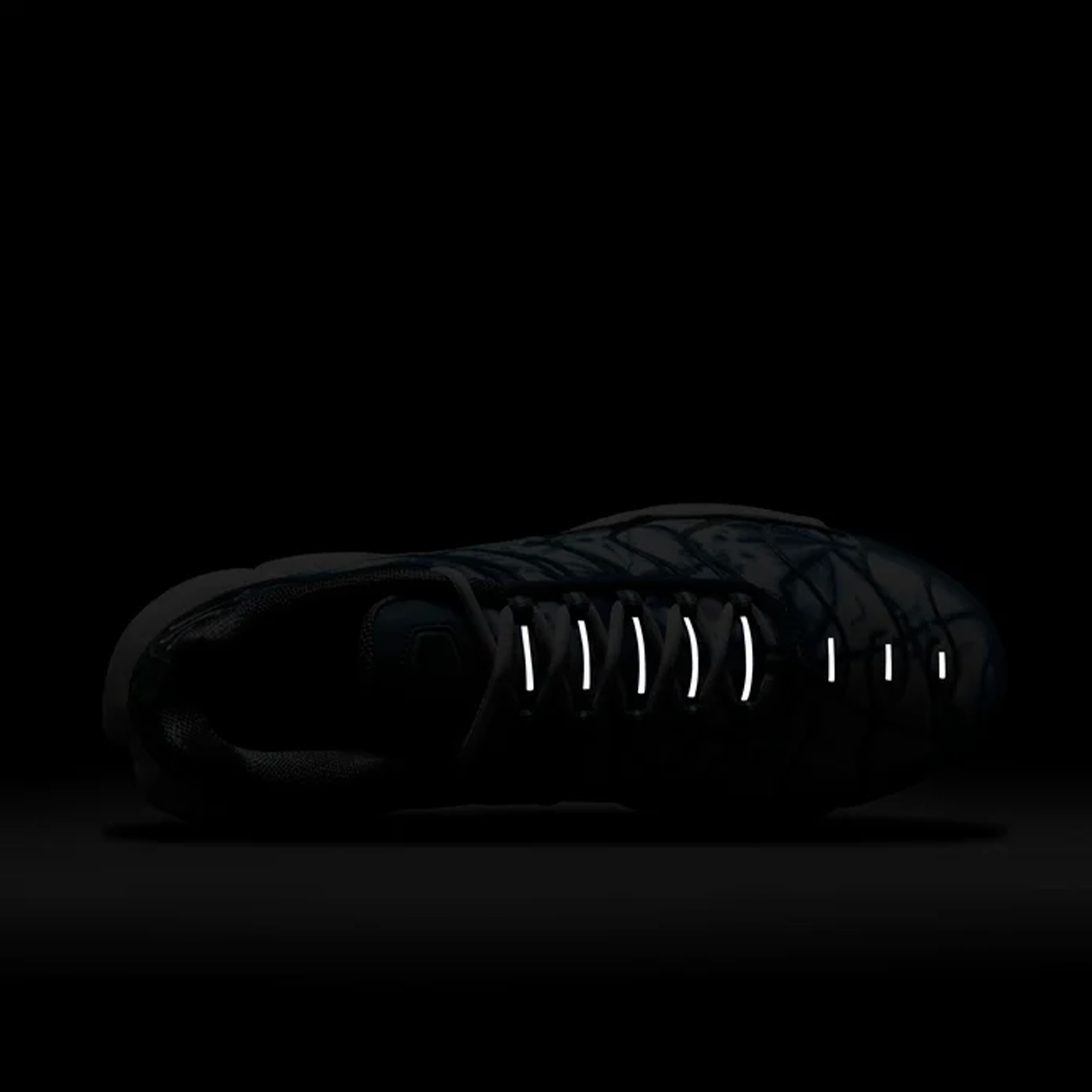 Air Max Plus TN "Waterway"