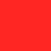 Kaminari Bright Red BrushOn Geçici Dövme Boyası 60ml.