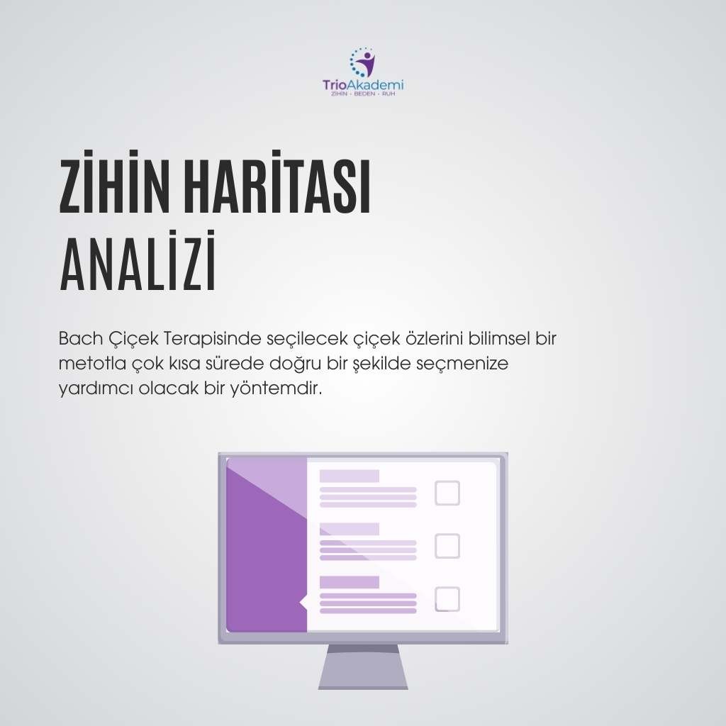 Zihin Haritası Analizi