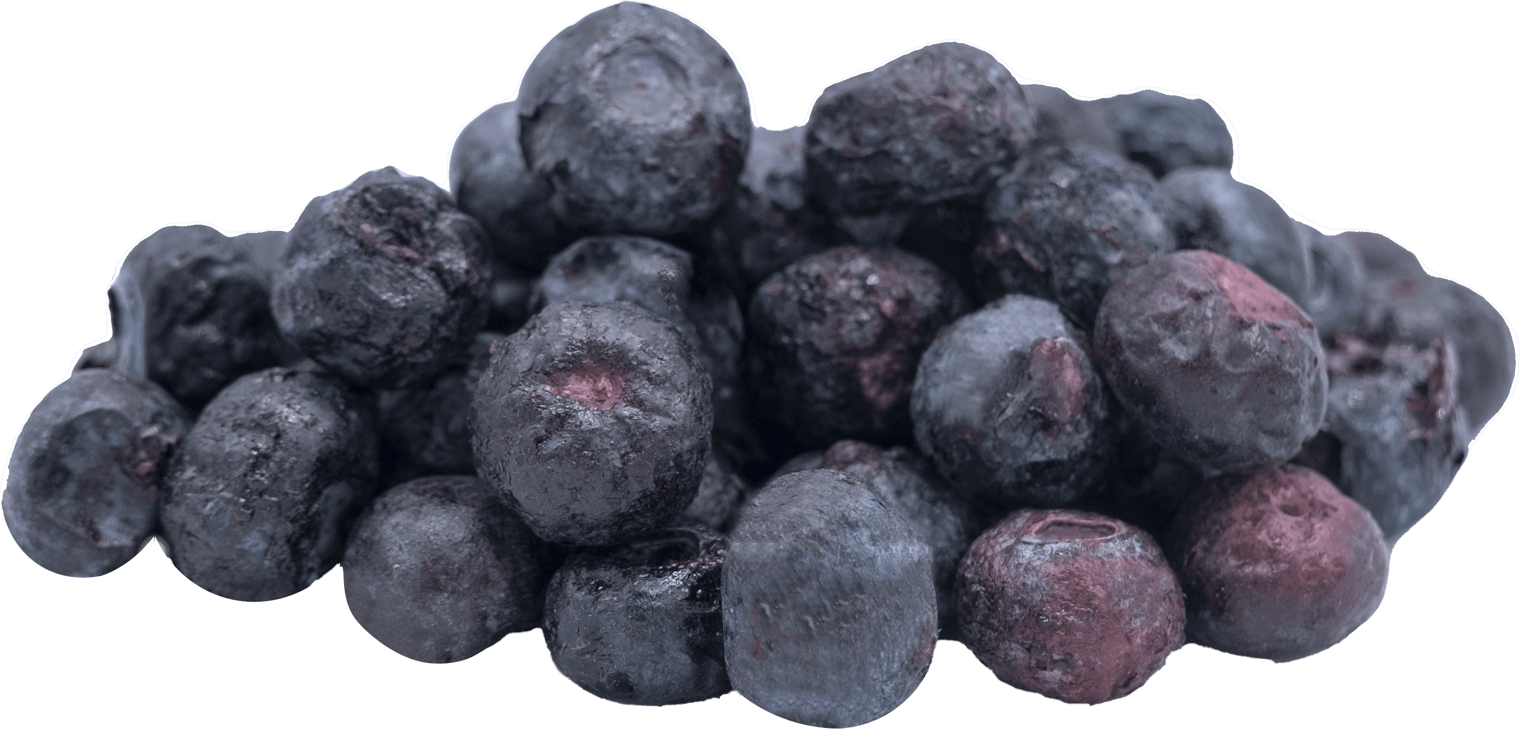 HapHug Freeze-Dried Blueberry - Triple Pack