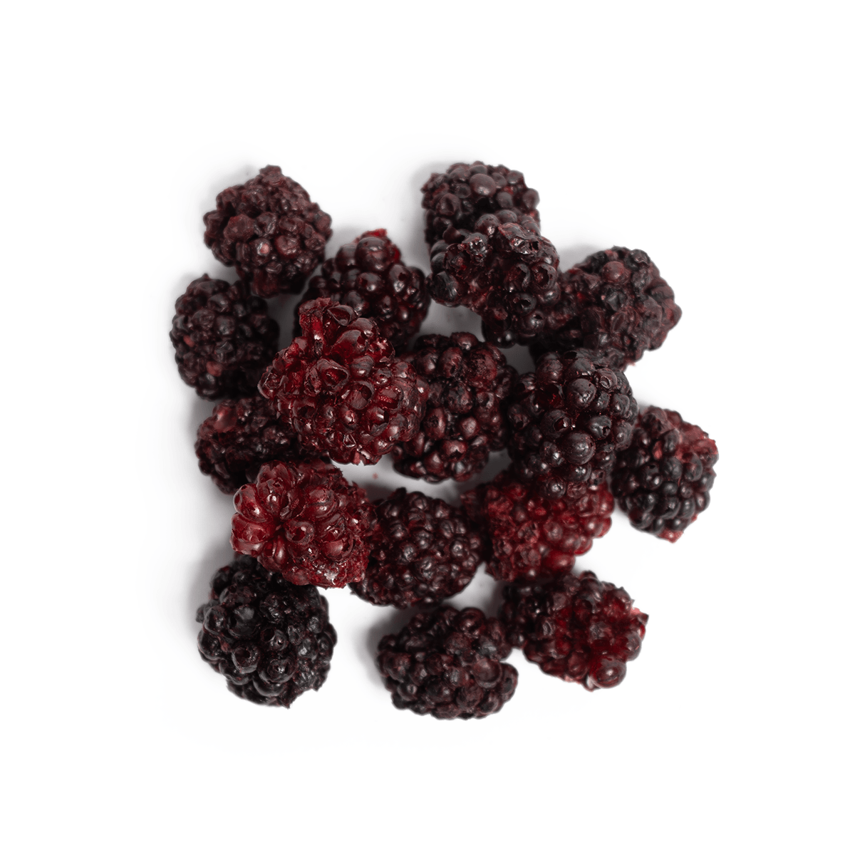 Freeze Dried Bütün Böğürtlen - Toptan Paket