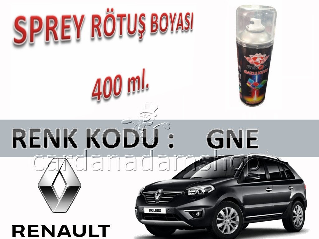 RENAULT KOLEOS DİAMOND BLACK PEARL GNE SİYAH RÖTUŞ BOYASI 400 ml. SPREY KUTU