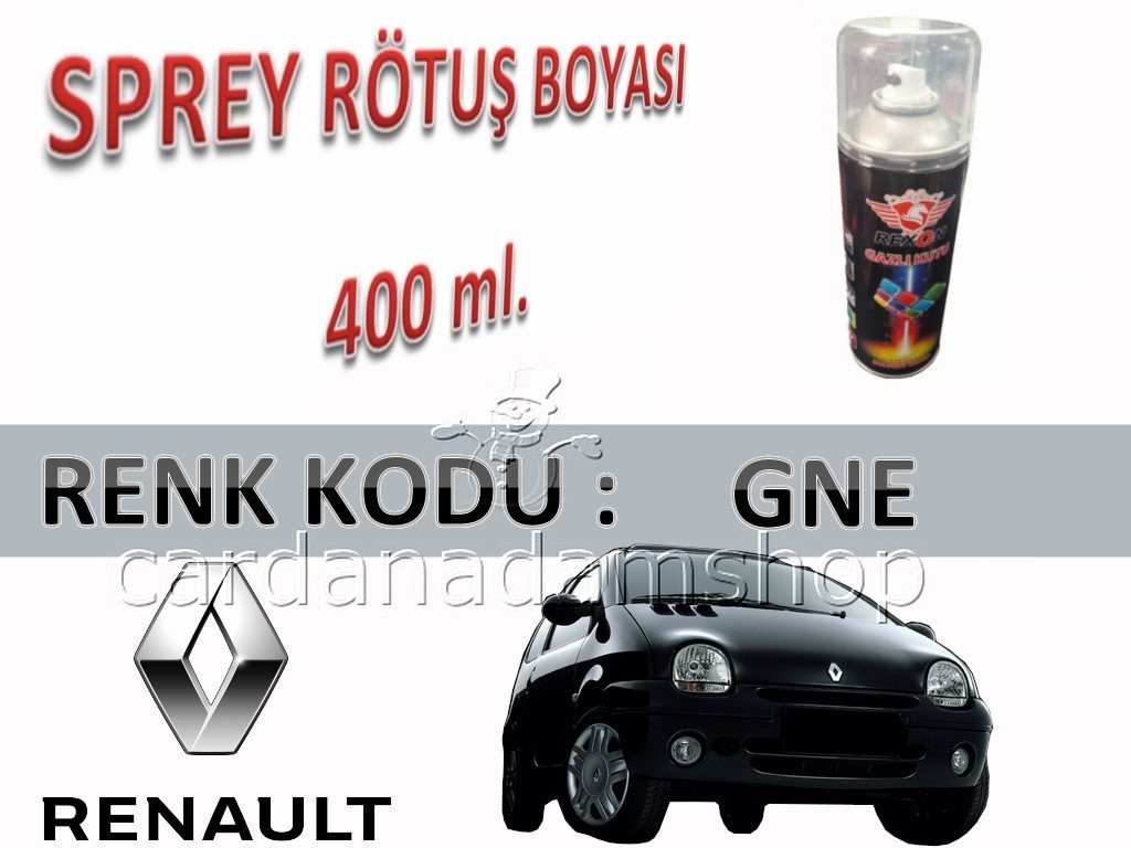 RENAULT TWİNGO DİAMOND BLACK PEARL GNE SİYAH RÖTUŞ BOYASI 400 ml. SPREY KUTU