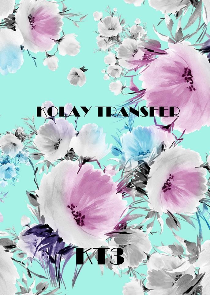 Lineart Kolay Transfer Kt03