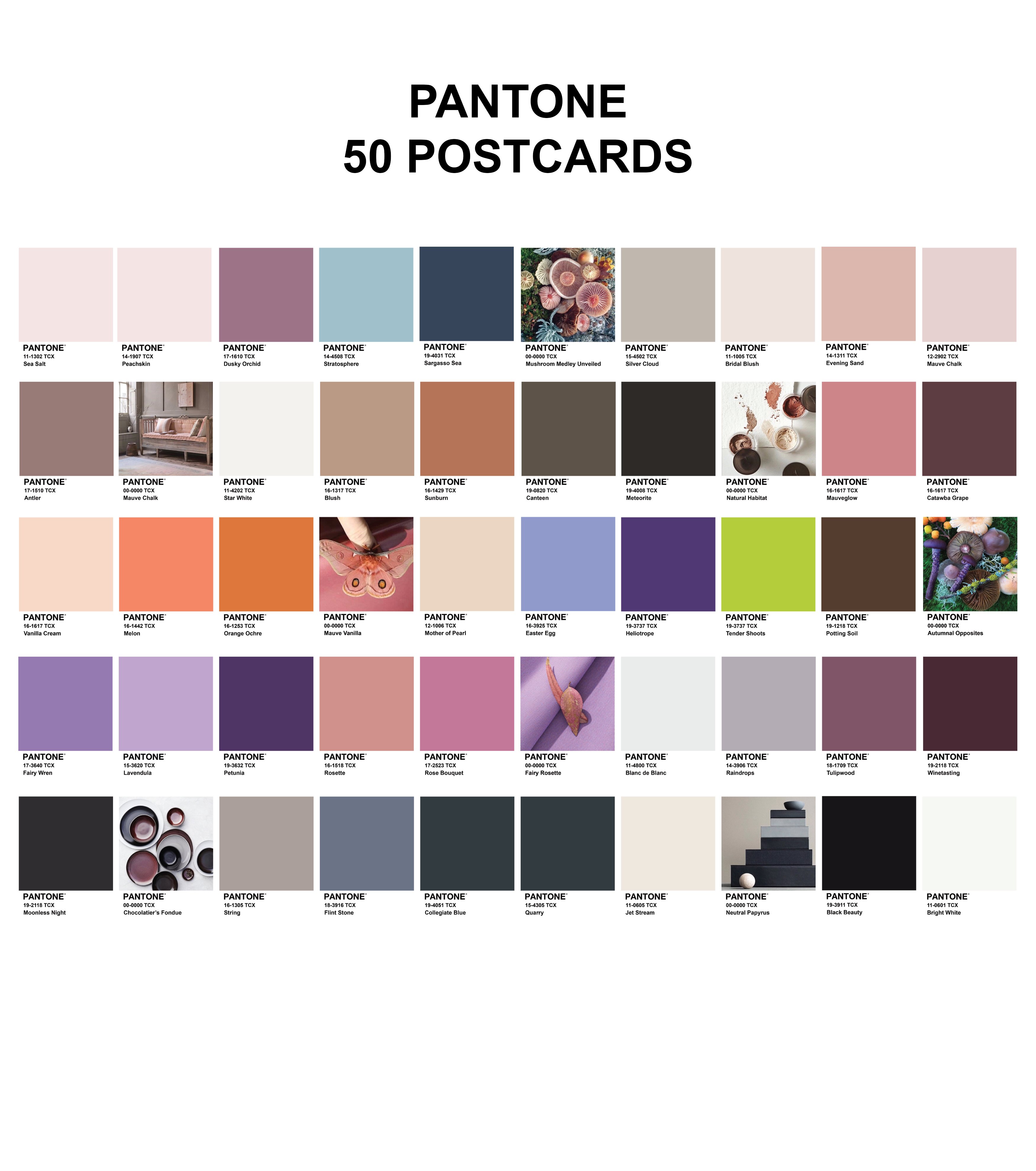 Pantone 50 Postcards Scrapbooking Sanat Kartları