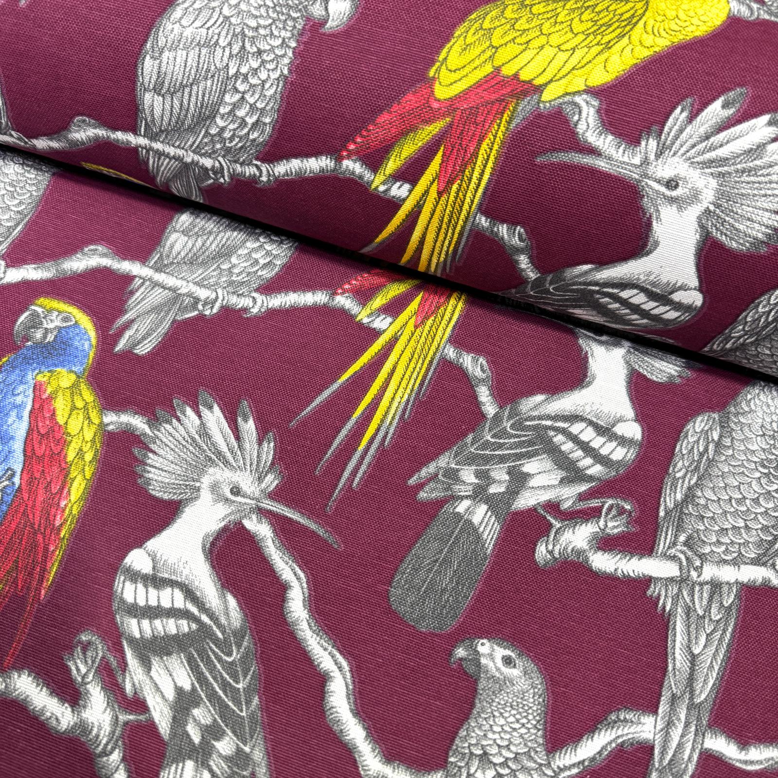 Parrots Bordo Panama Keteni