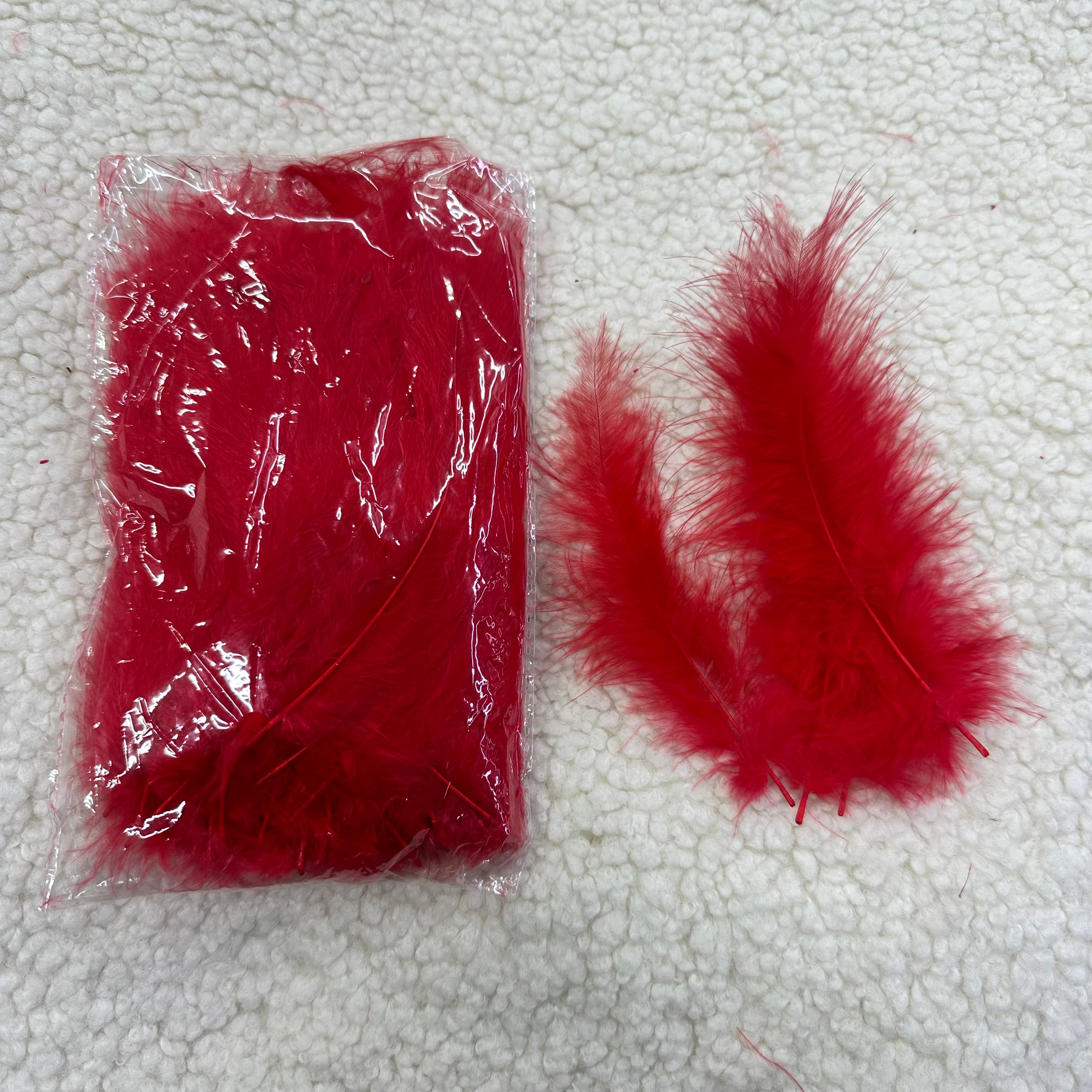 Kırmızı Kuş Tüyü 