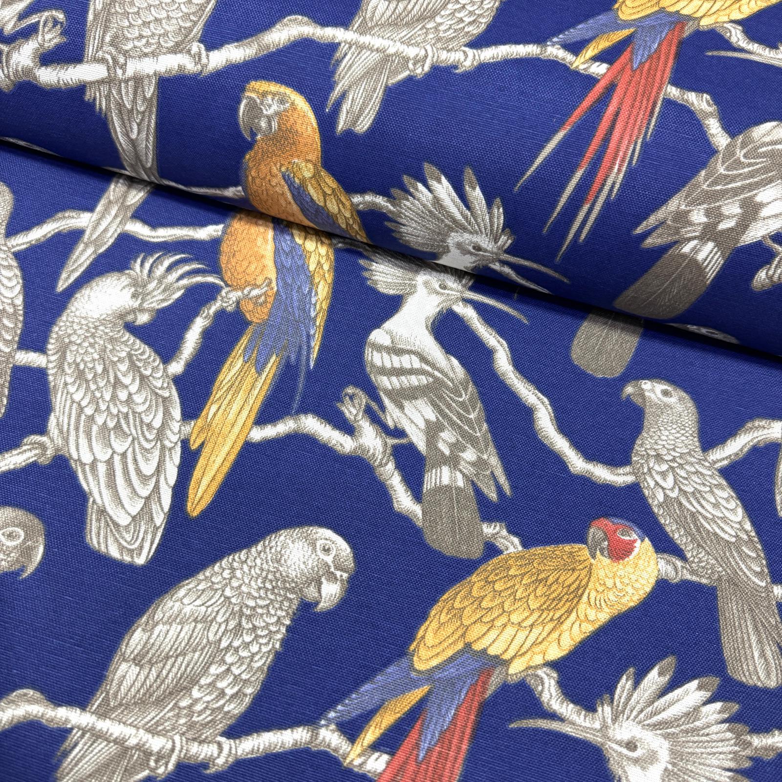 Parrots Mavi Panama Keteni