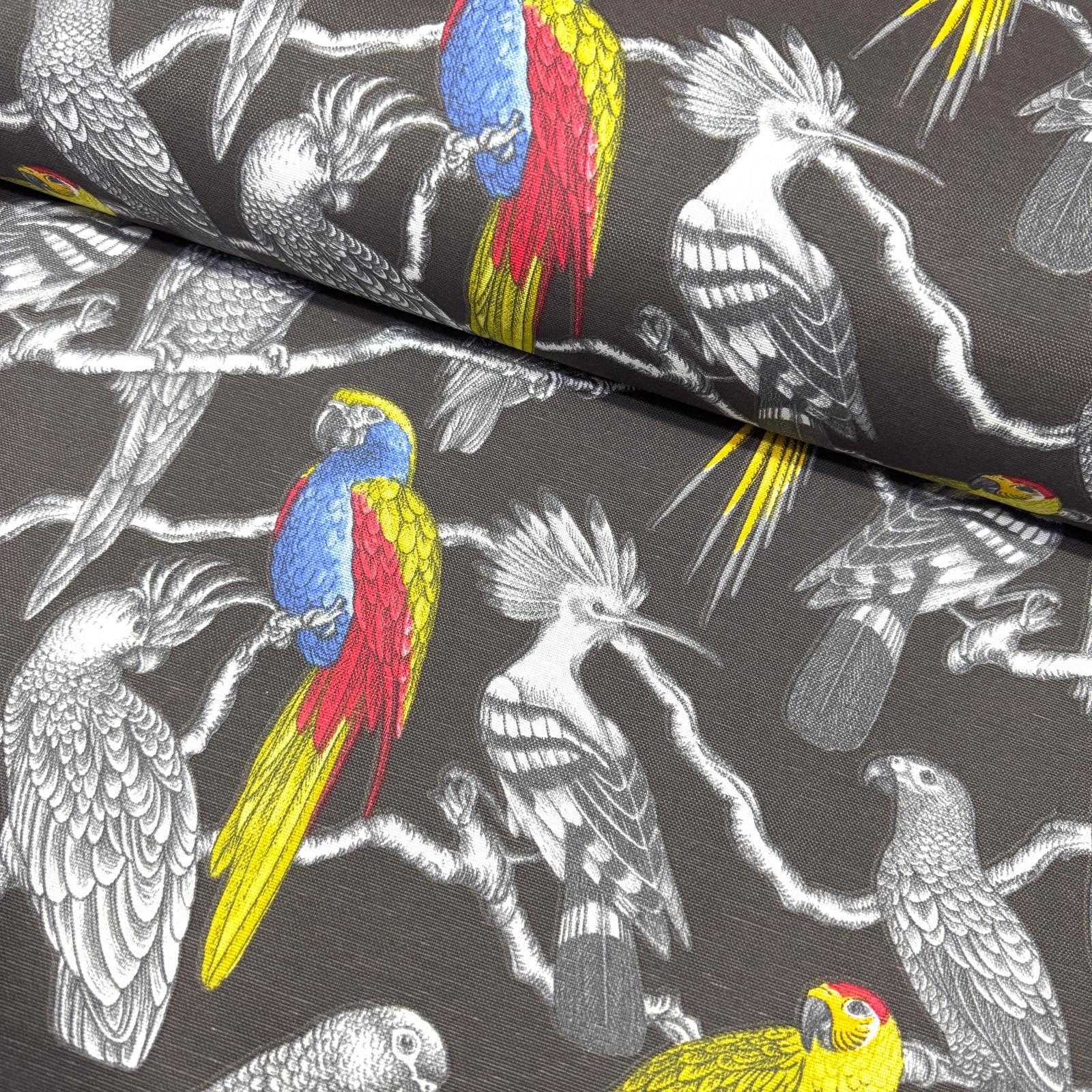 Parrots Siyah Panama Keteni