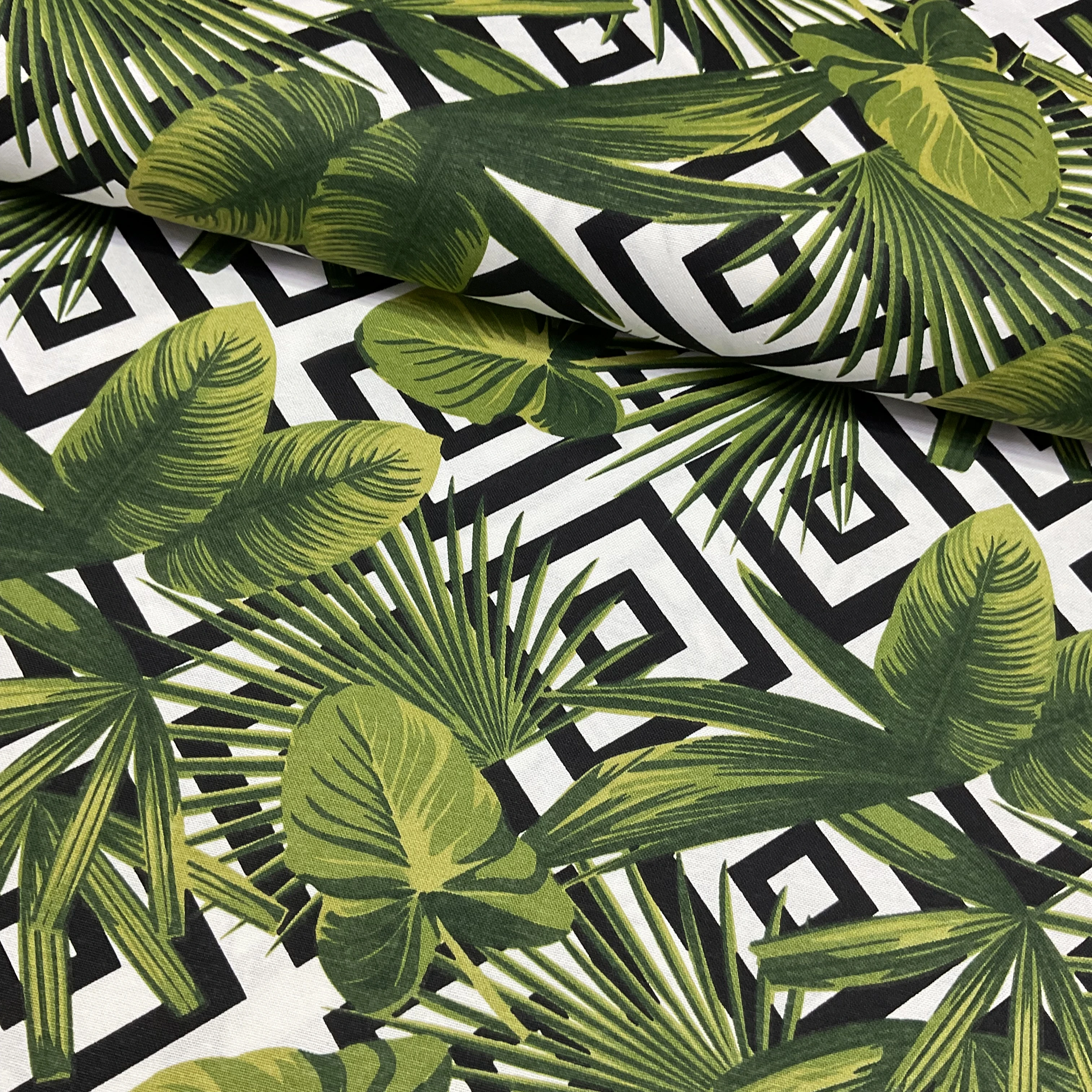 Havana Palmiye Panama Keteni