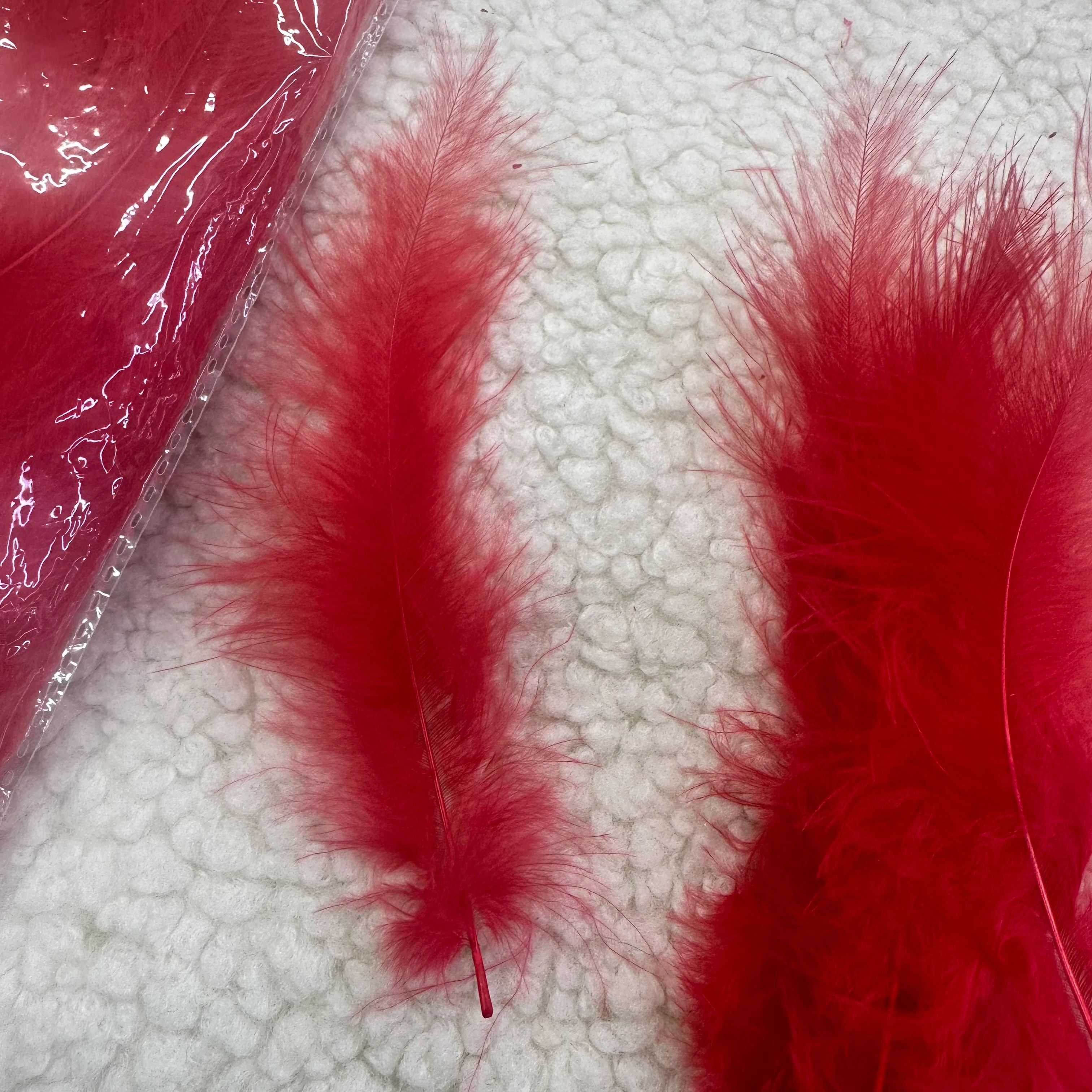 Kırmızı Kuş Tüyü 