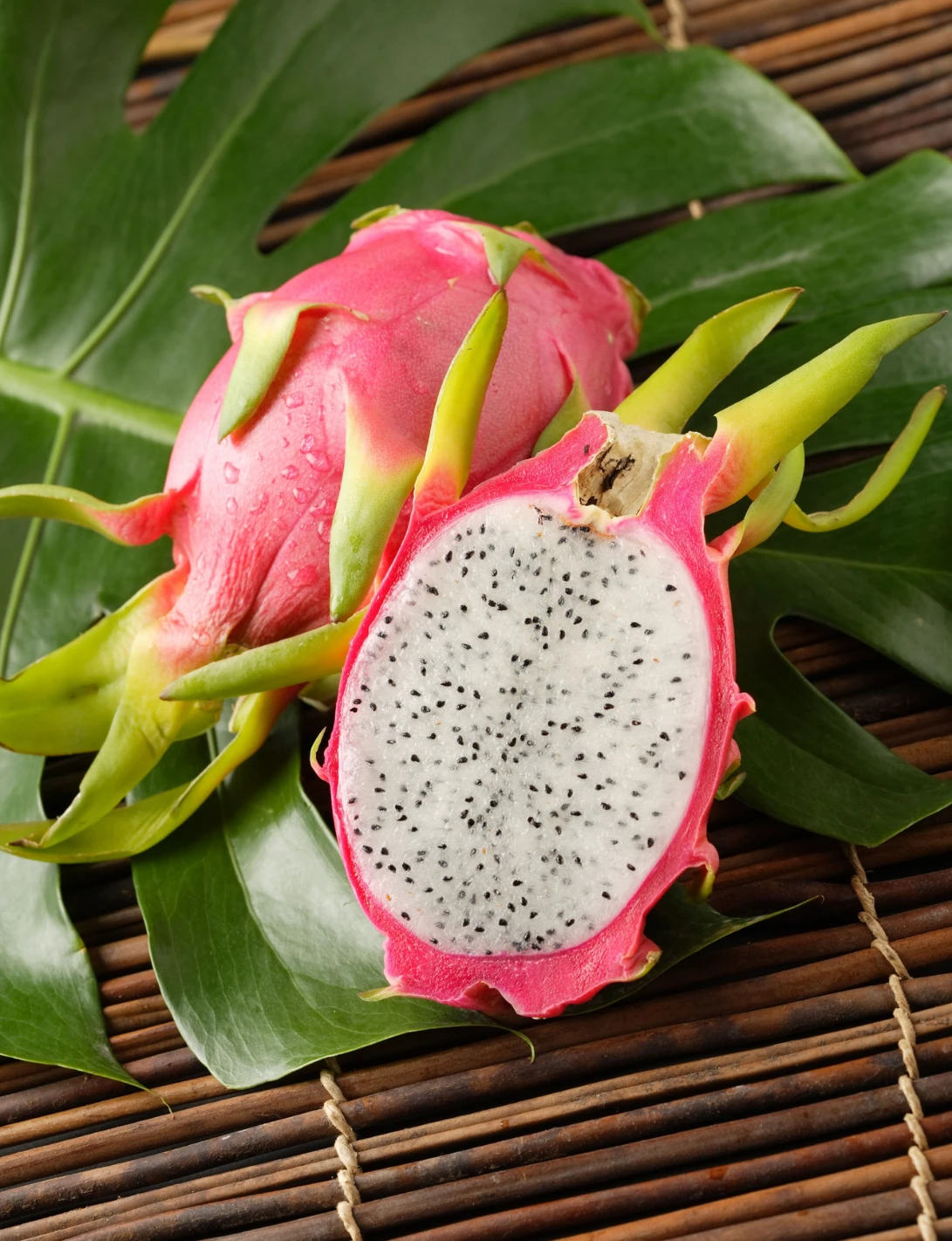 Ejder Meyvesi 1 Adet