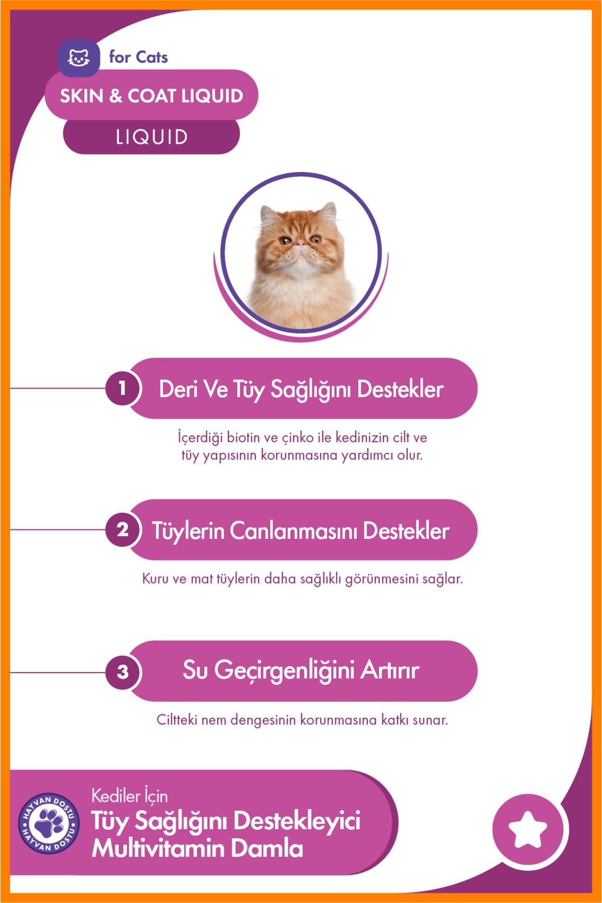 Kedi Skin & Coat Liquid – Tüy Sağlığını Destekleyici Multivitamin Damla