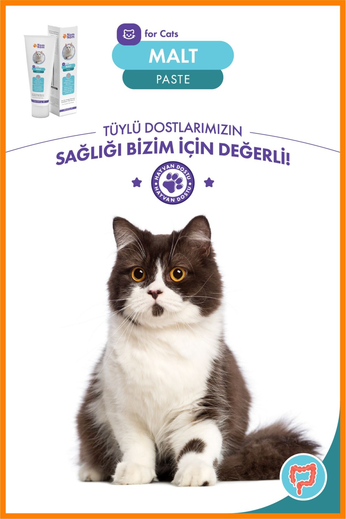 Kedi Malt Paste 100 gr – Tüy Yumağı Önleyici ve Sindirim Düzenleyici Macun