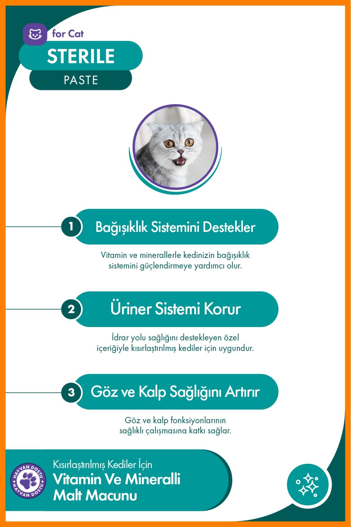 Sterile Paste 100 gr – Kısırlaştırılmış Kedilere Özel Macun