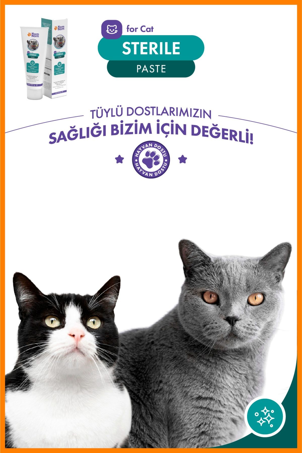 Sterile Paste 100 gr – Kısırlaştırılmış Kedilere Özel Macun