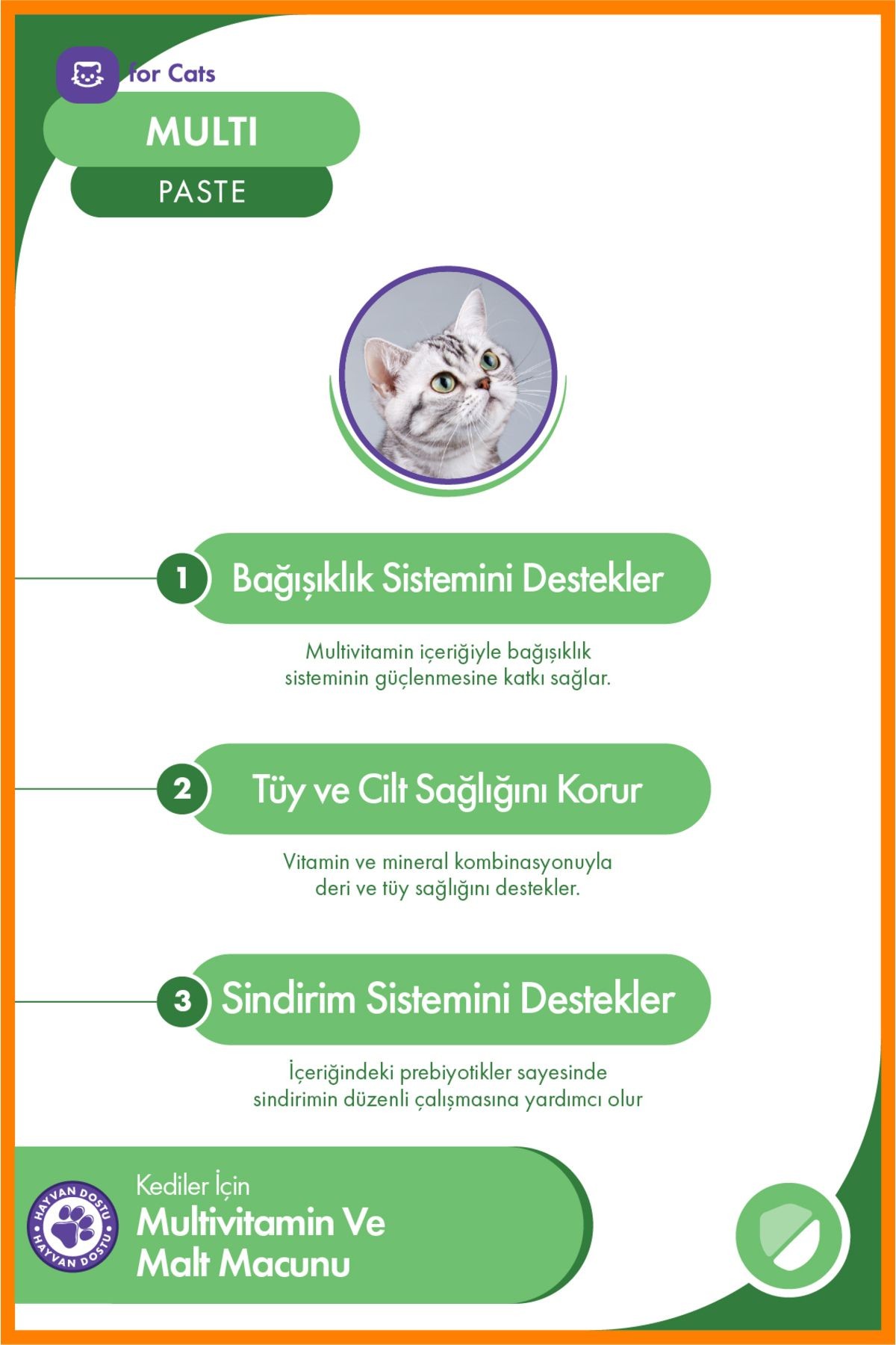 Multi Paste 100 gr – Tüm Kediler İçin Multivitamin, Tüy ve Bağışıklık Desteği Sunan Malt Macun