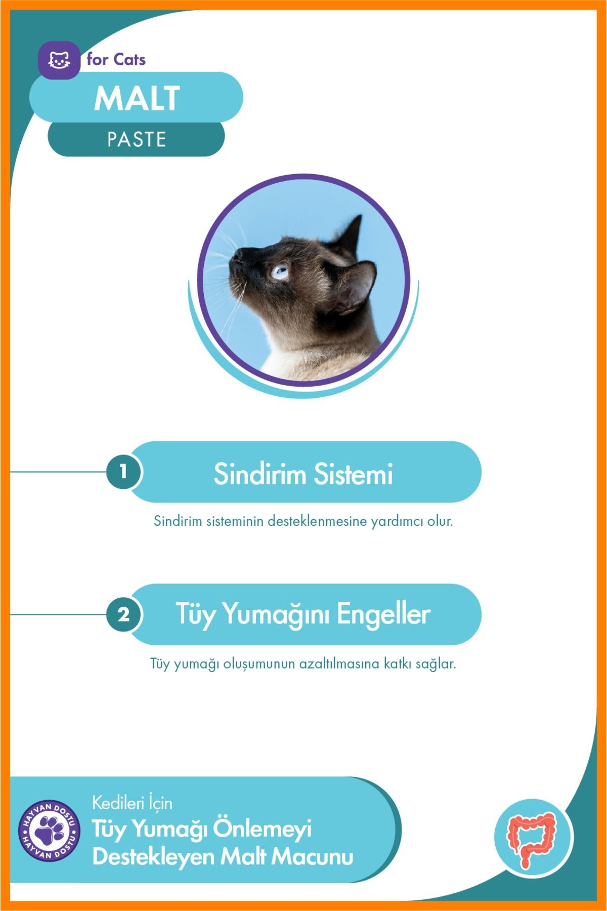 Kedi Malt Paste 100 gr – Tüy Yumağı Önleyici ve Sindirim Düzenleyici Macun