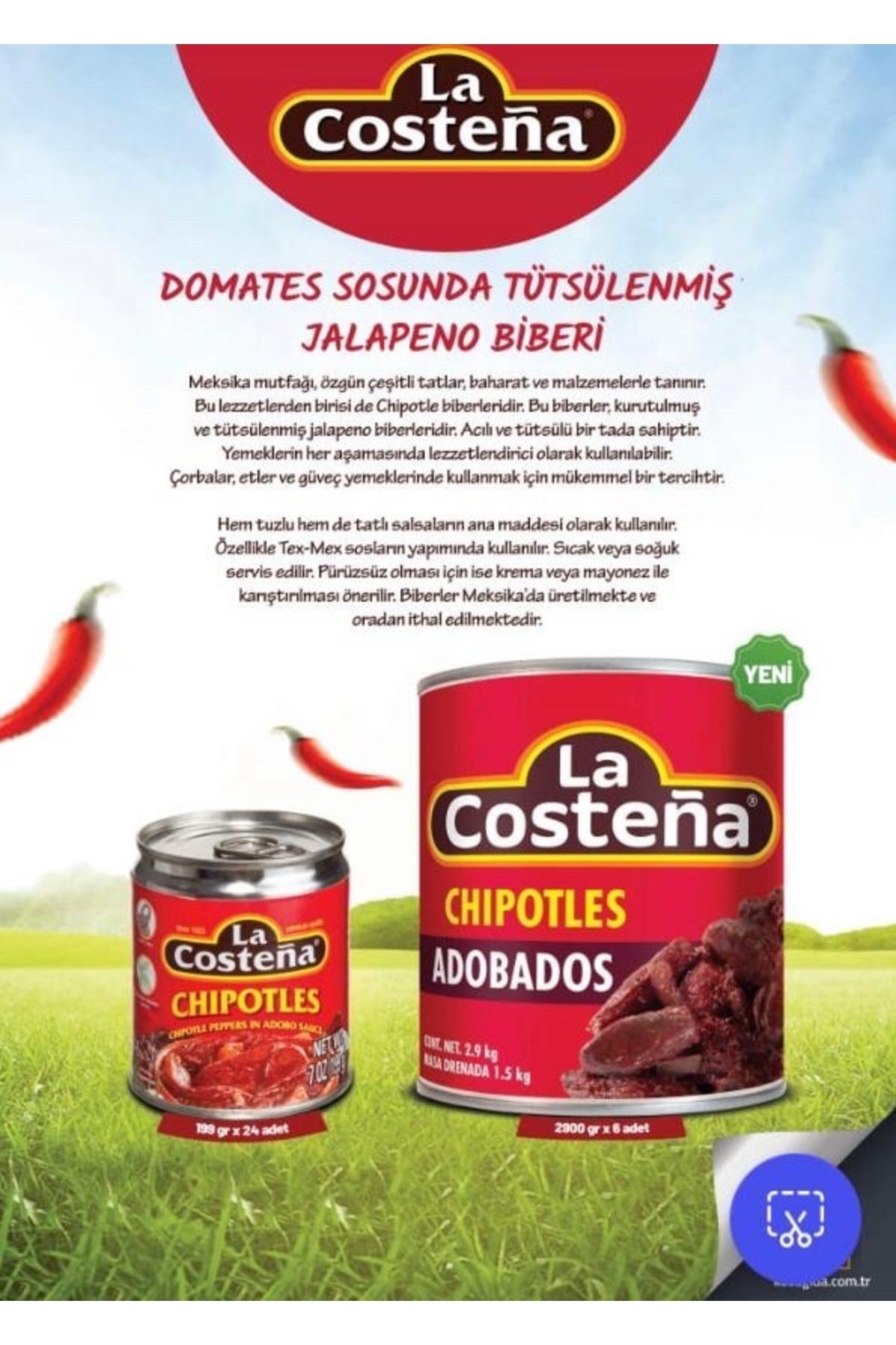 Chipotle Peppers 199gr ( 7 Oz ) Adobo Soslu Tütsülenmiş Meksika Jalapeno Biberi