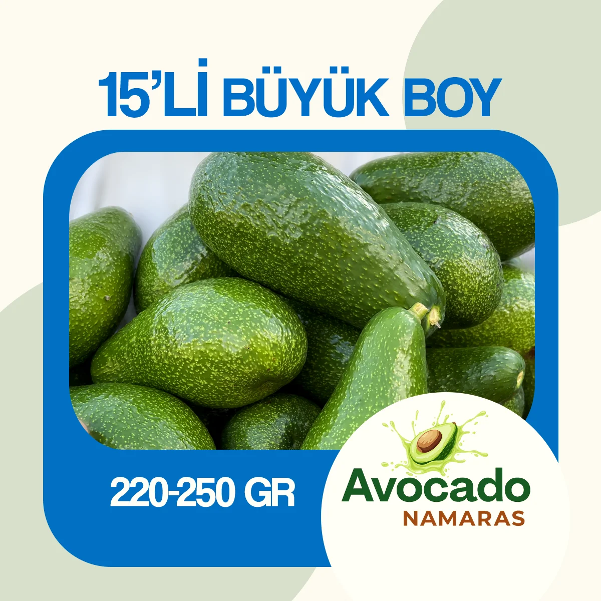15'Lİ BÜYÜK BOY AVOKADO NAMARAS