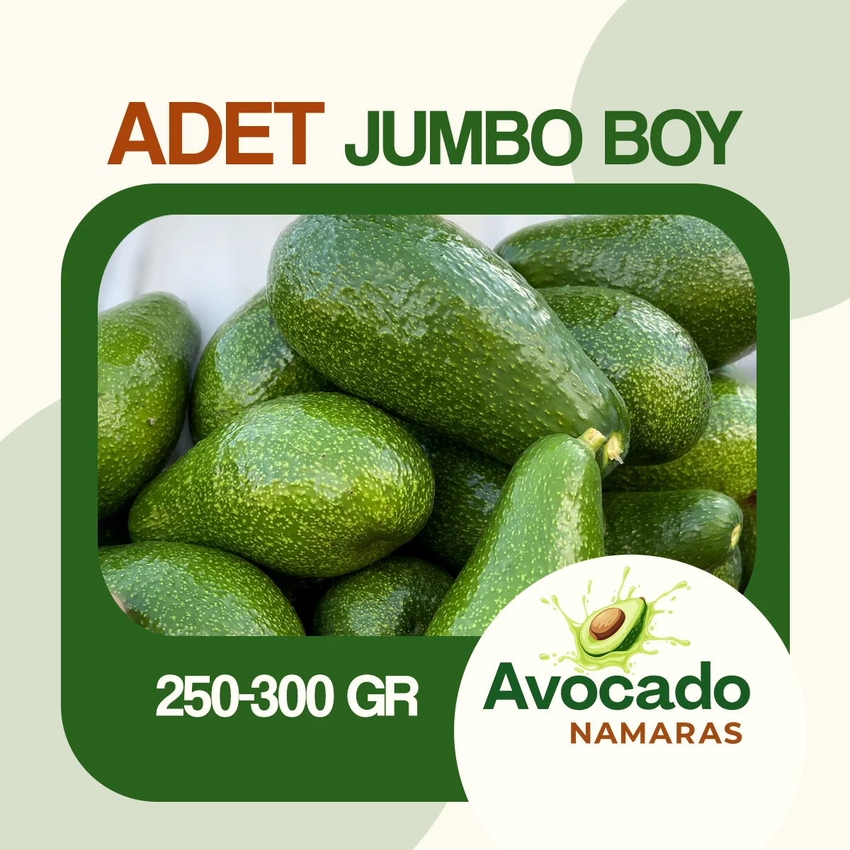 ADET JUMBO BOY AVOKADO NAMARAS