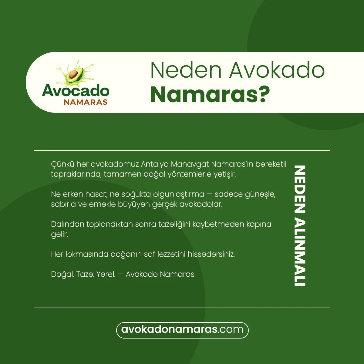 24'LÜ JUMBO PAKET AVOKADO NAMARAS