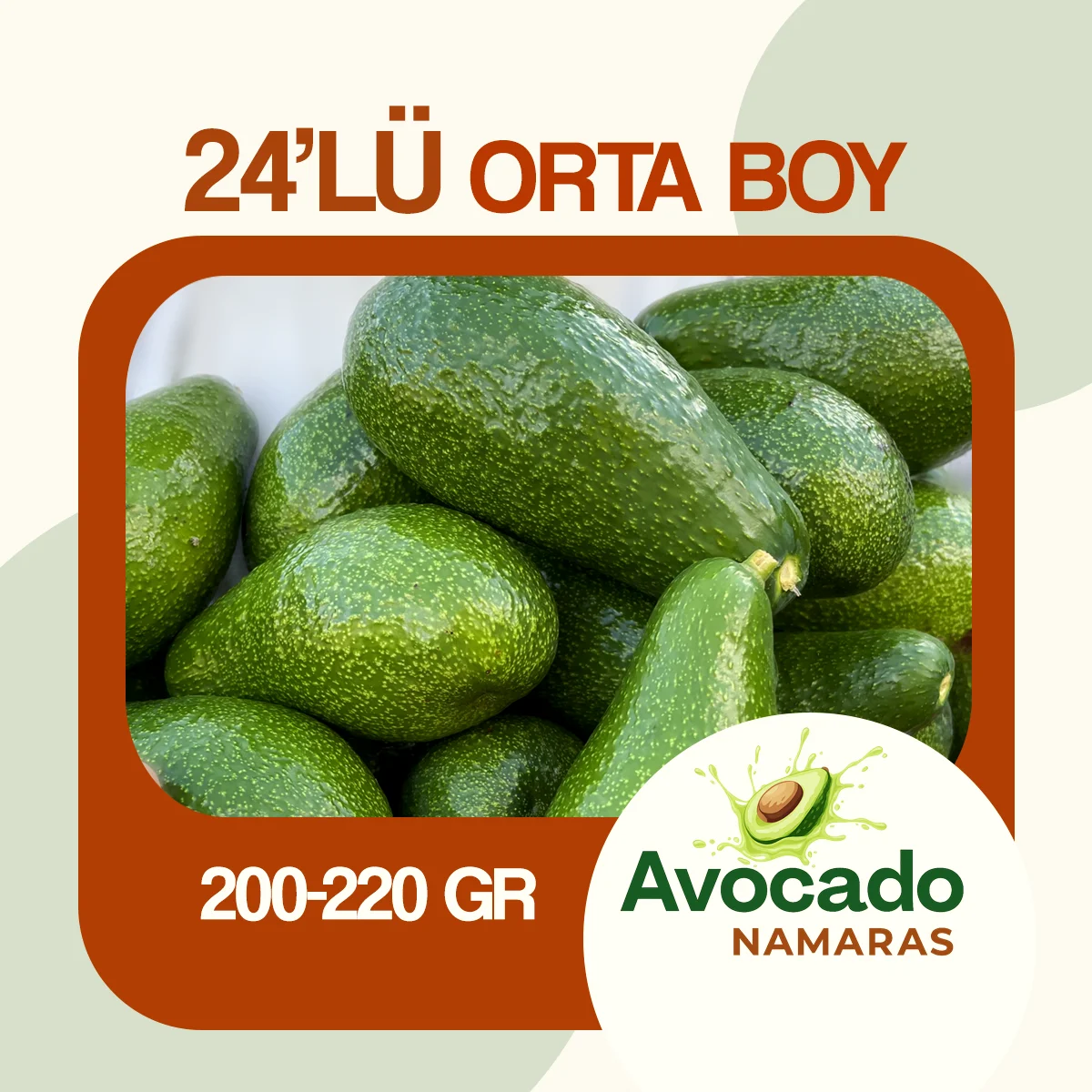 24'LÜ ORTA BOY AVOKADO NAMARAS