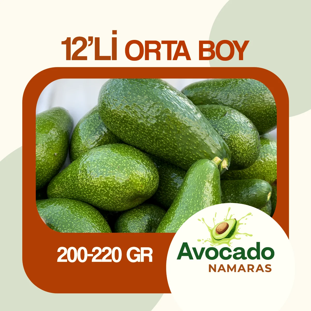 12'Lİ ORTA BOY AVOKADO NAMARAS