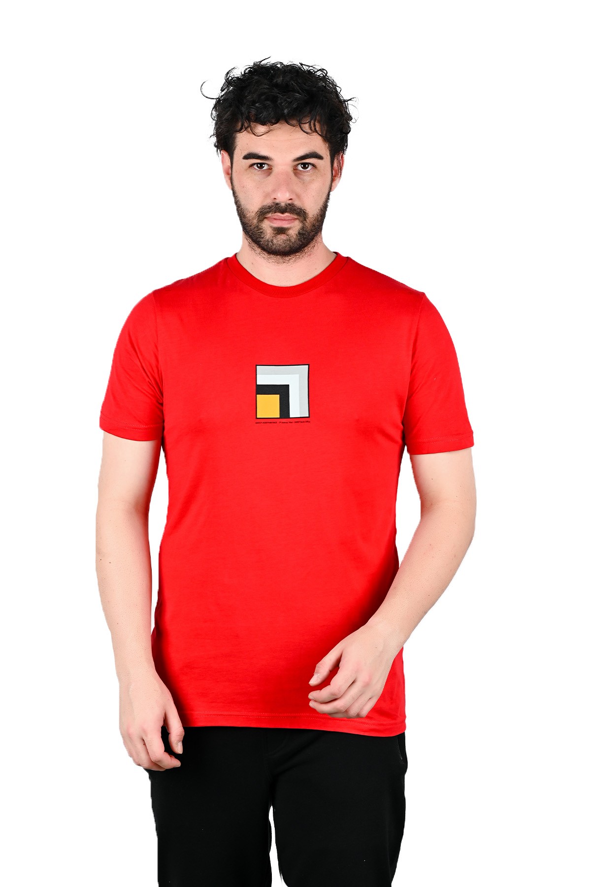 Erkek Baskılı T-shirt