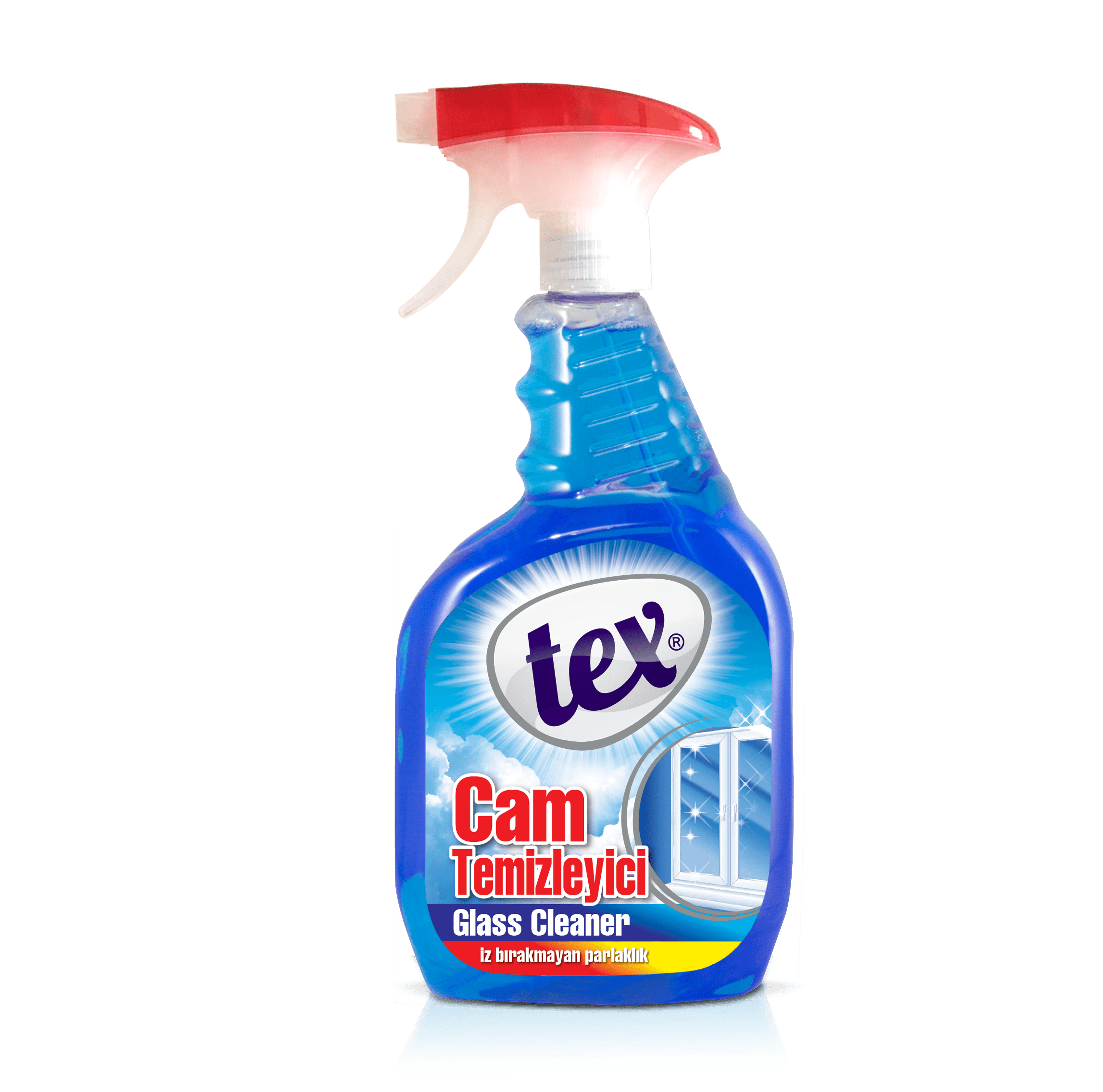 Tex Cam Temizleyici 750ml