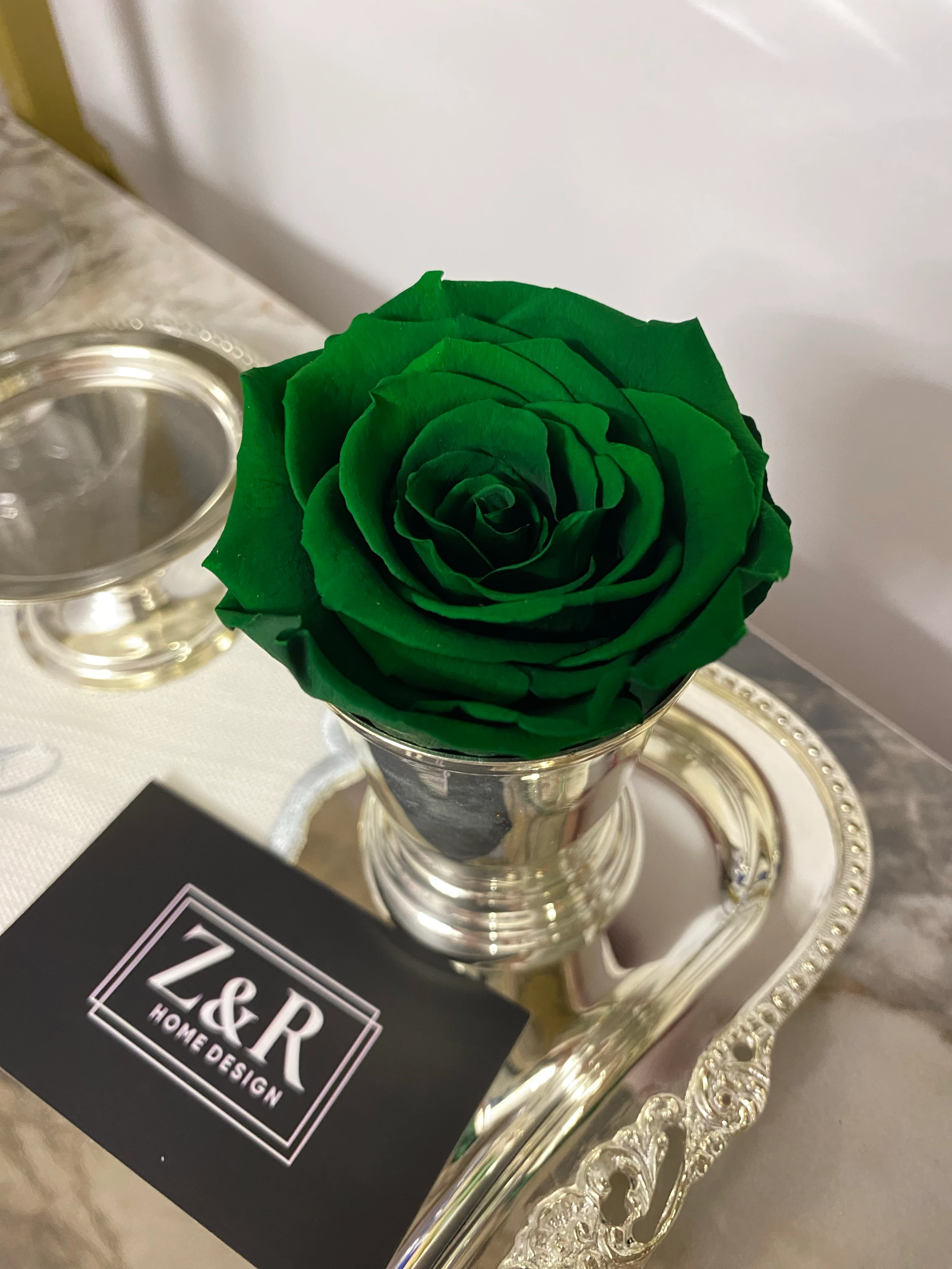 Solmayan Ekvator Gülü-Yeşil