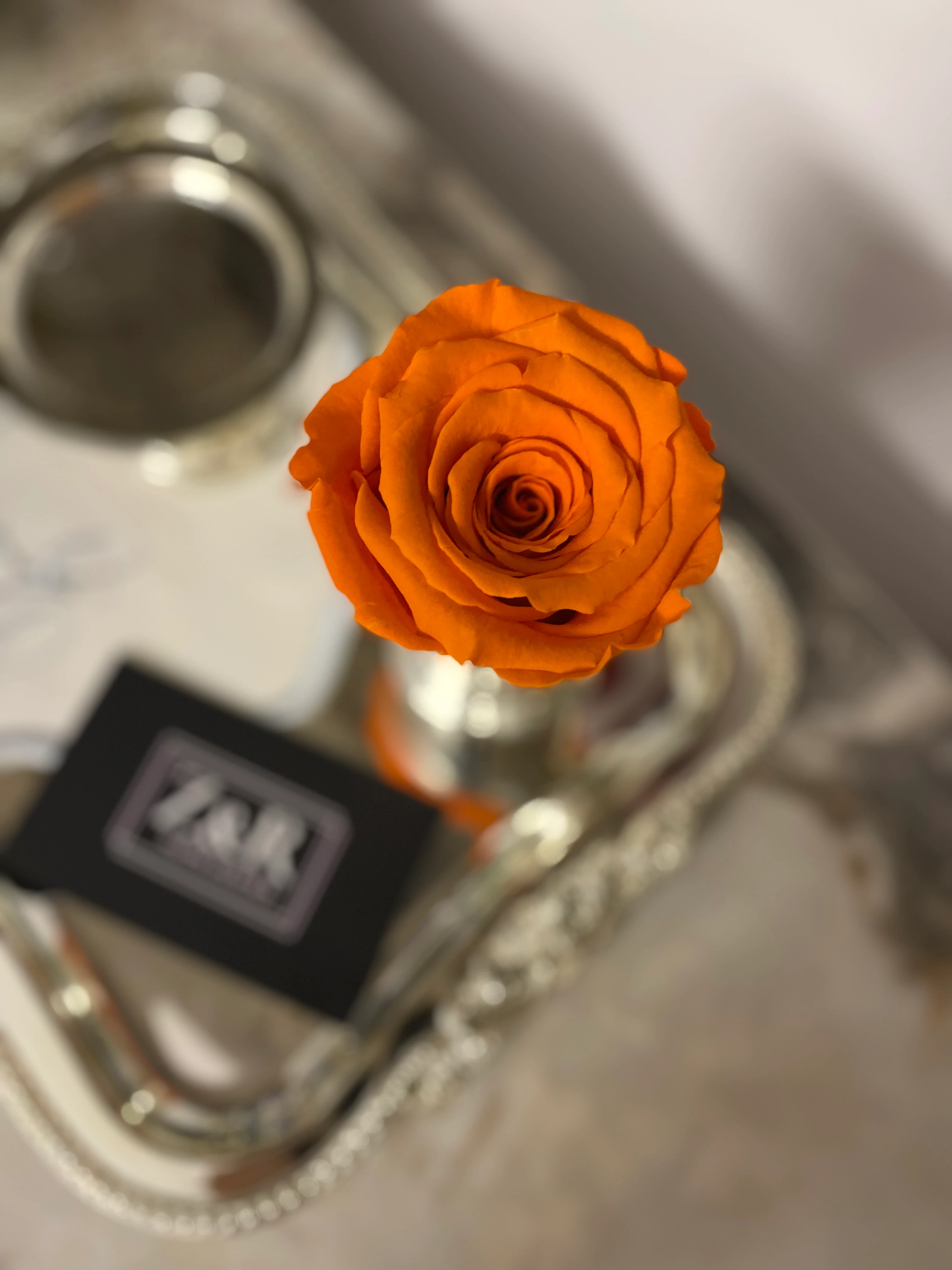 Solmayan Ekvator Gülü-Turuncu