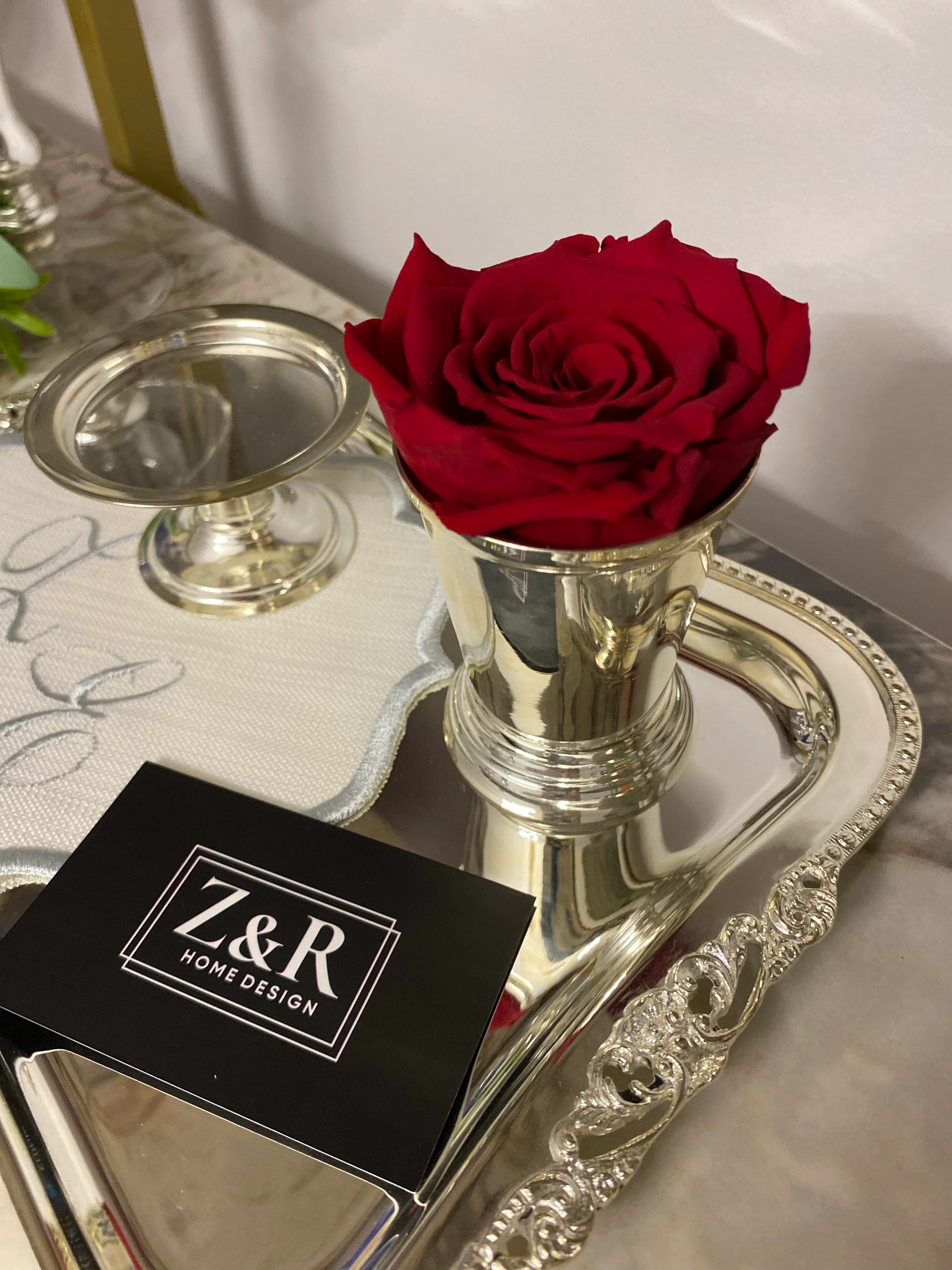 Solmayan Ekvator Gülü-Kırmızı