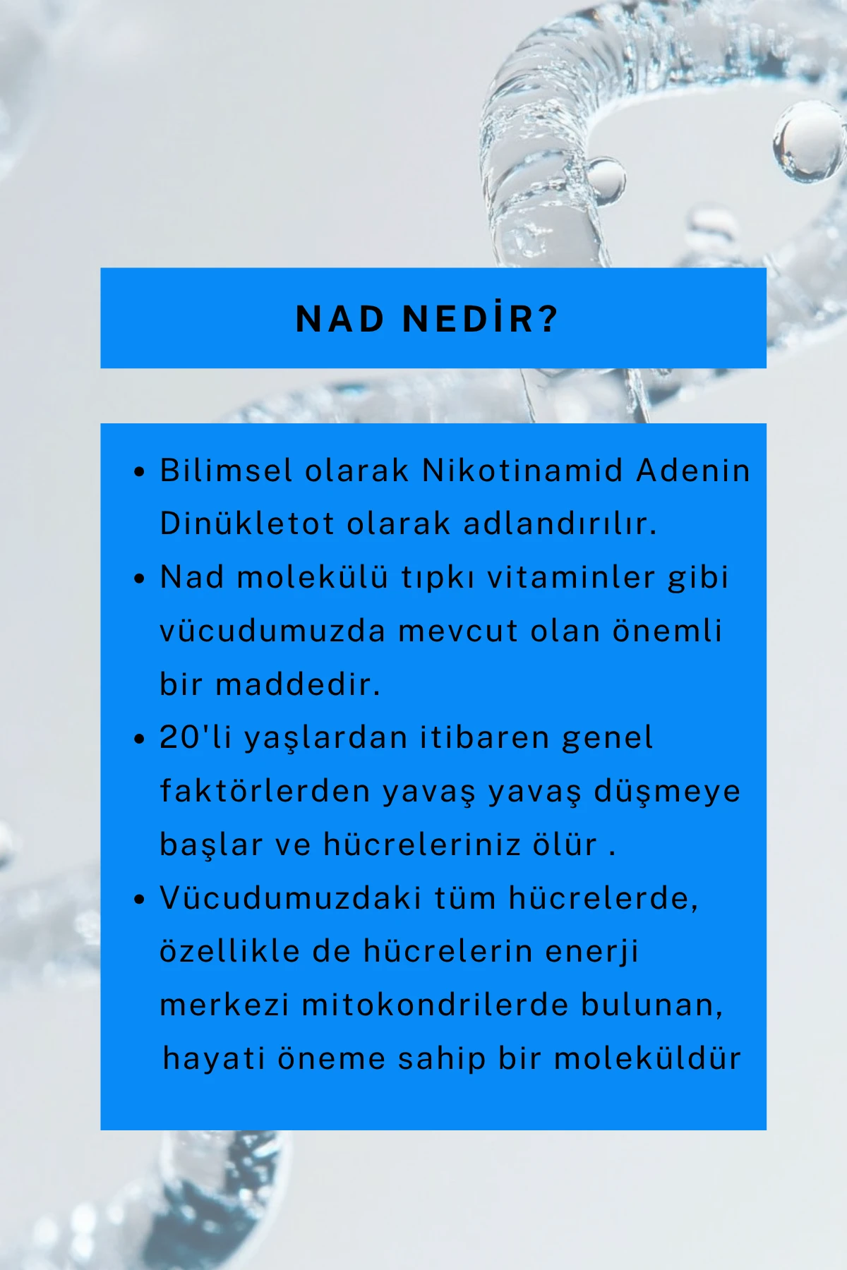 Aydınlatıcı, Sıkılaştırıcı ve Nemlendirici Yüz Bakım Kremi 50 ML (NAD+, Kolajen, Resveratrol, Hyalüronik Asit, Matrixyl 3000)