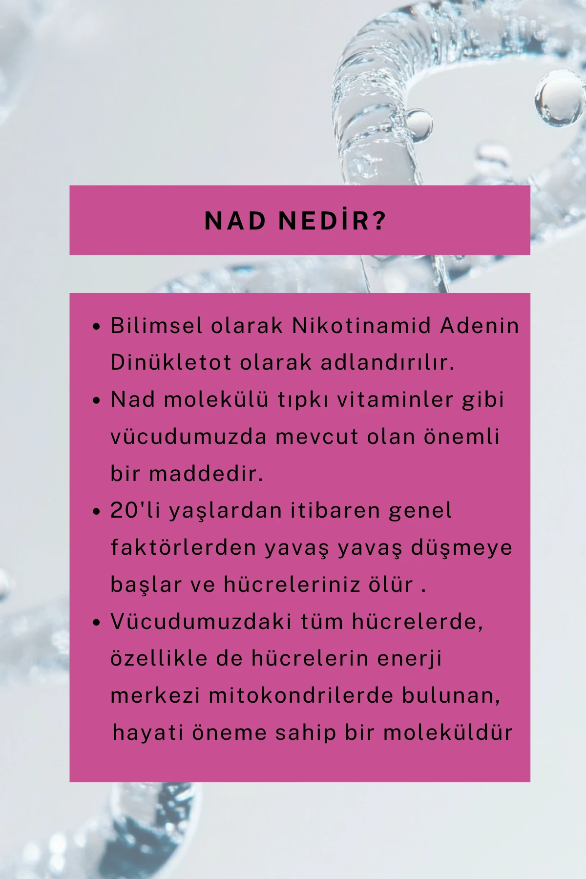 Cilt Tonu Eşitleyici Güneş Kremi SPF 50+ 50 ML (NAD+, Arbutin, Zinc, Hyalüronik Asit)