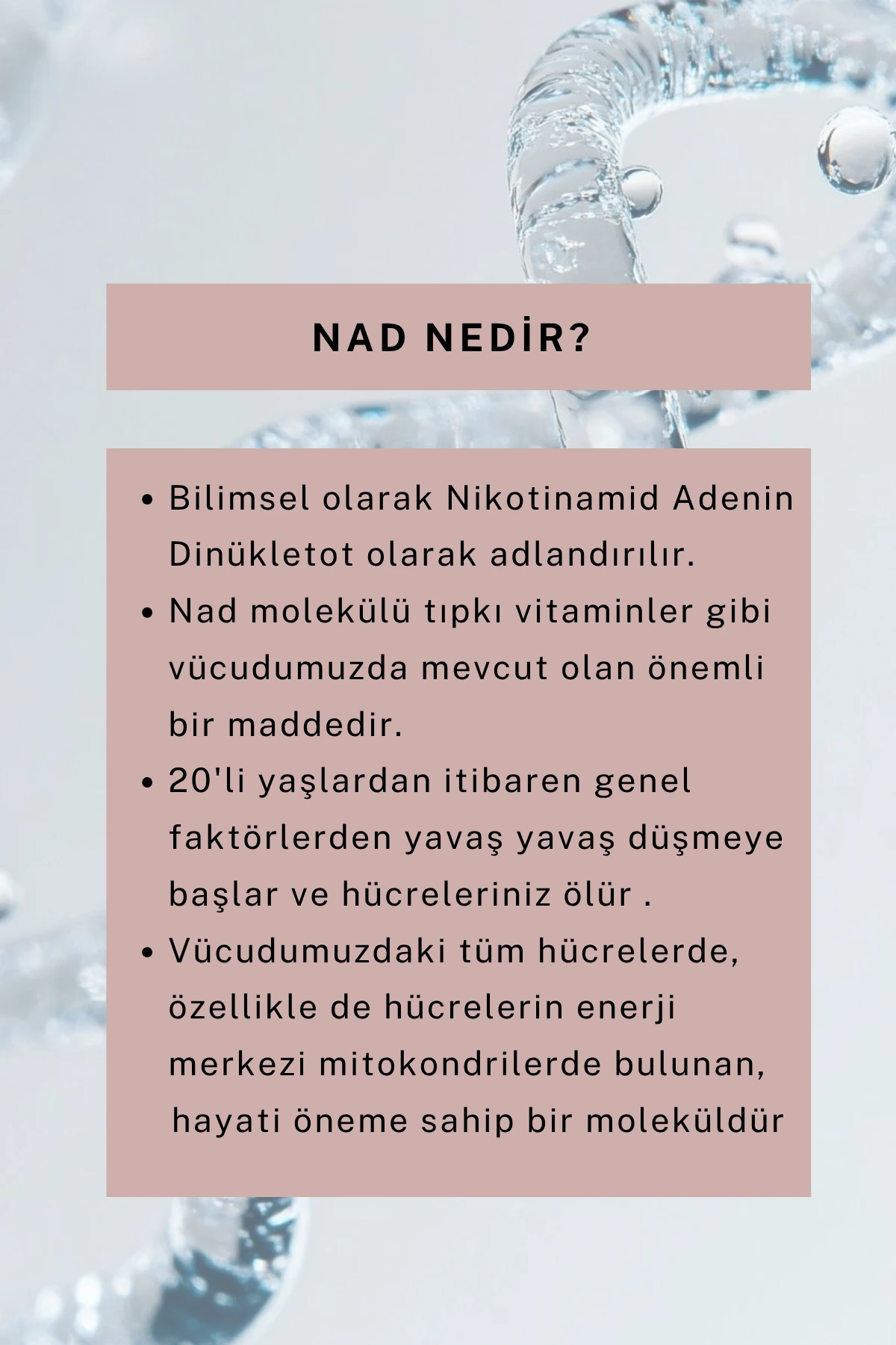 Cilt Aydınlatıcı, Beyazlatıcı Krem 50 ML (Yüz, Koltuk Altı Kararmaları, Özel Bölge)