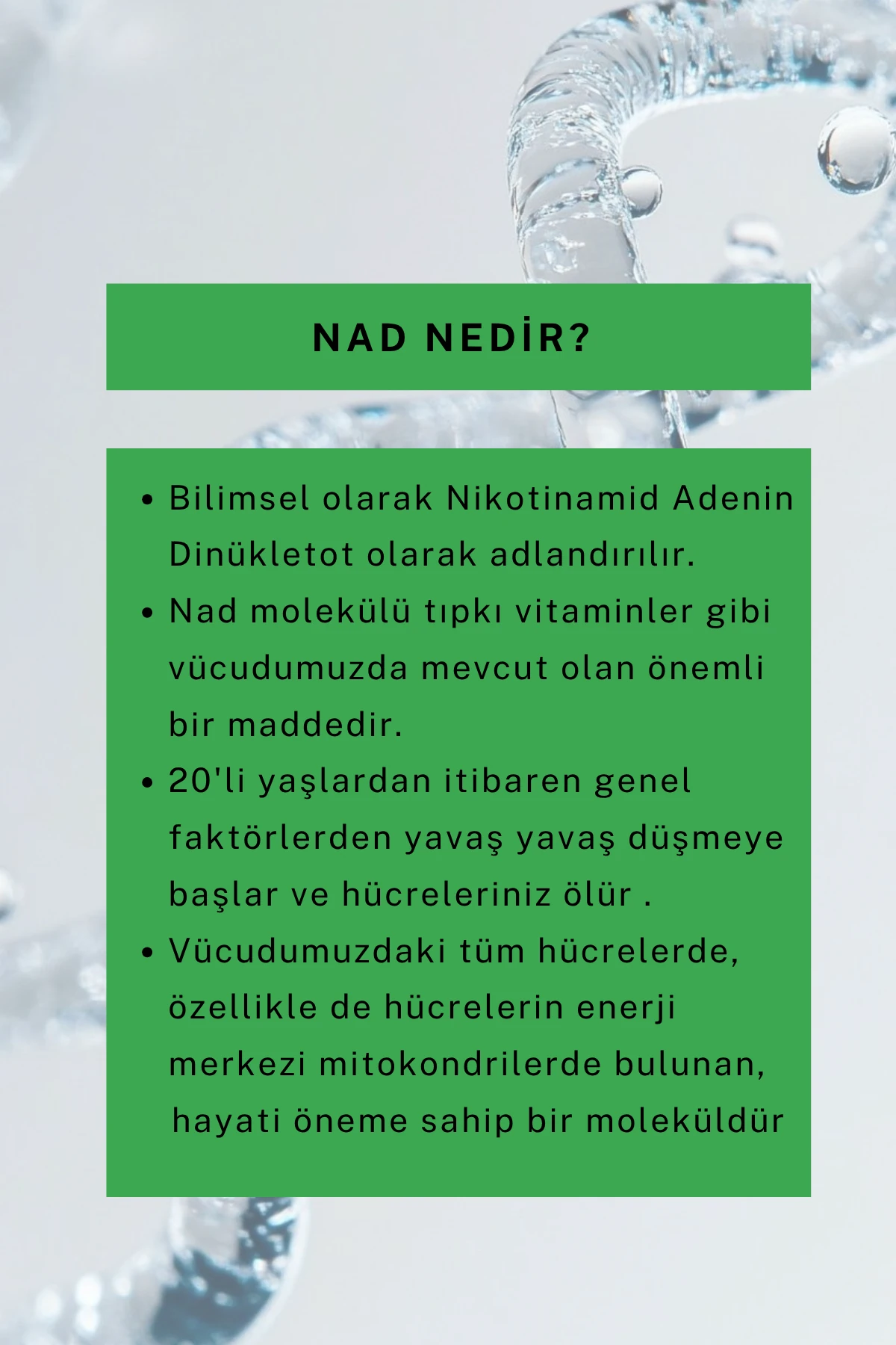 Akne Karşıtı Serum 30 ML (NAD+, Salisilik Asit, Niasinamid, Azelaic Asit)