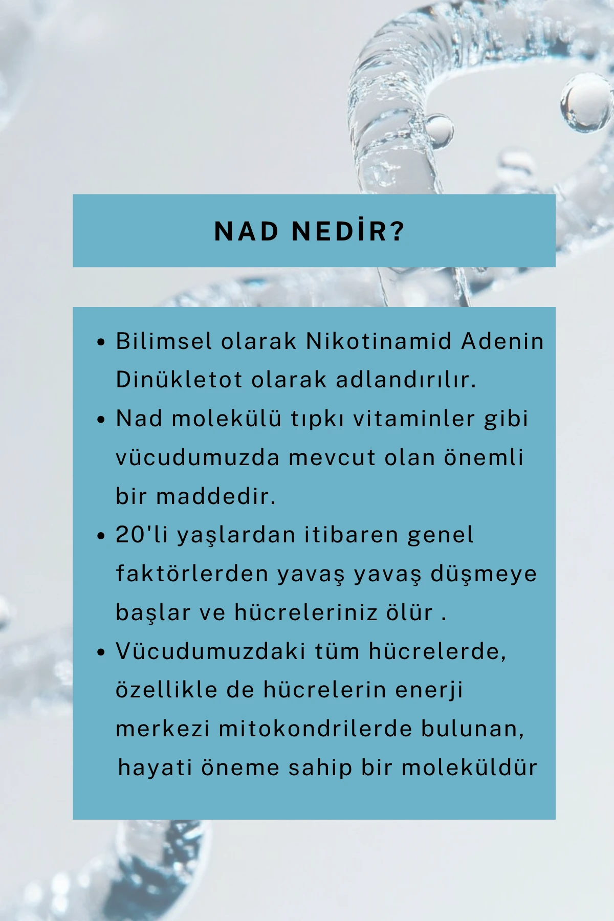 Nemlendirici & Onarıcı Saç Bakım Kremi 300 ML (NAD+, Biotin, Keratin, Panthenol)