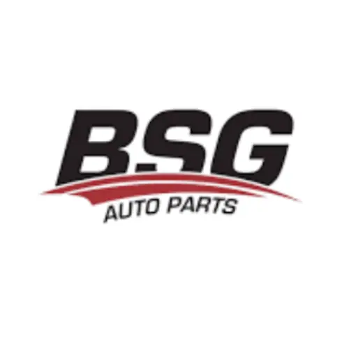 BSG