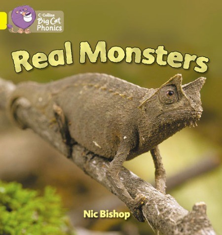 Collins Big Cat Phonics - Real Monsters (Band 03/Yellow)