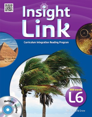 Insight Link 6