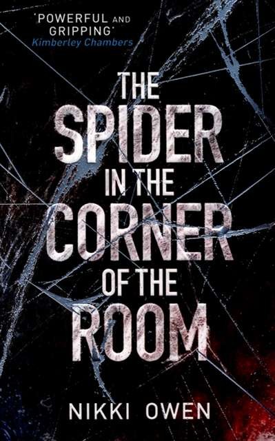 The Spider in the Corner of the Room