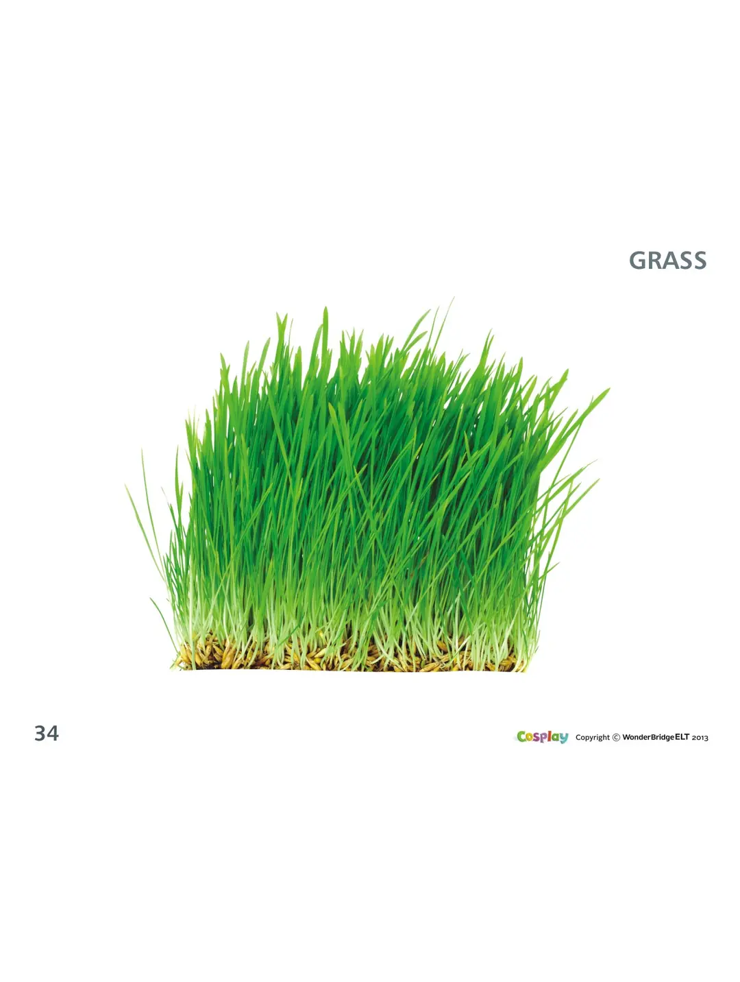 cosplay-starter-mini-flashcards