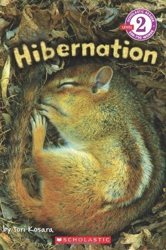 Hibernation