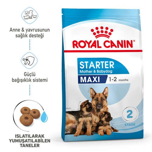 Royal Canin Maxi Starter Büyük Irk Anne ve Yavru Köpek Maması 15 Kg + Ödül Çubuğu